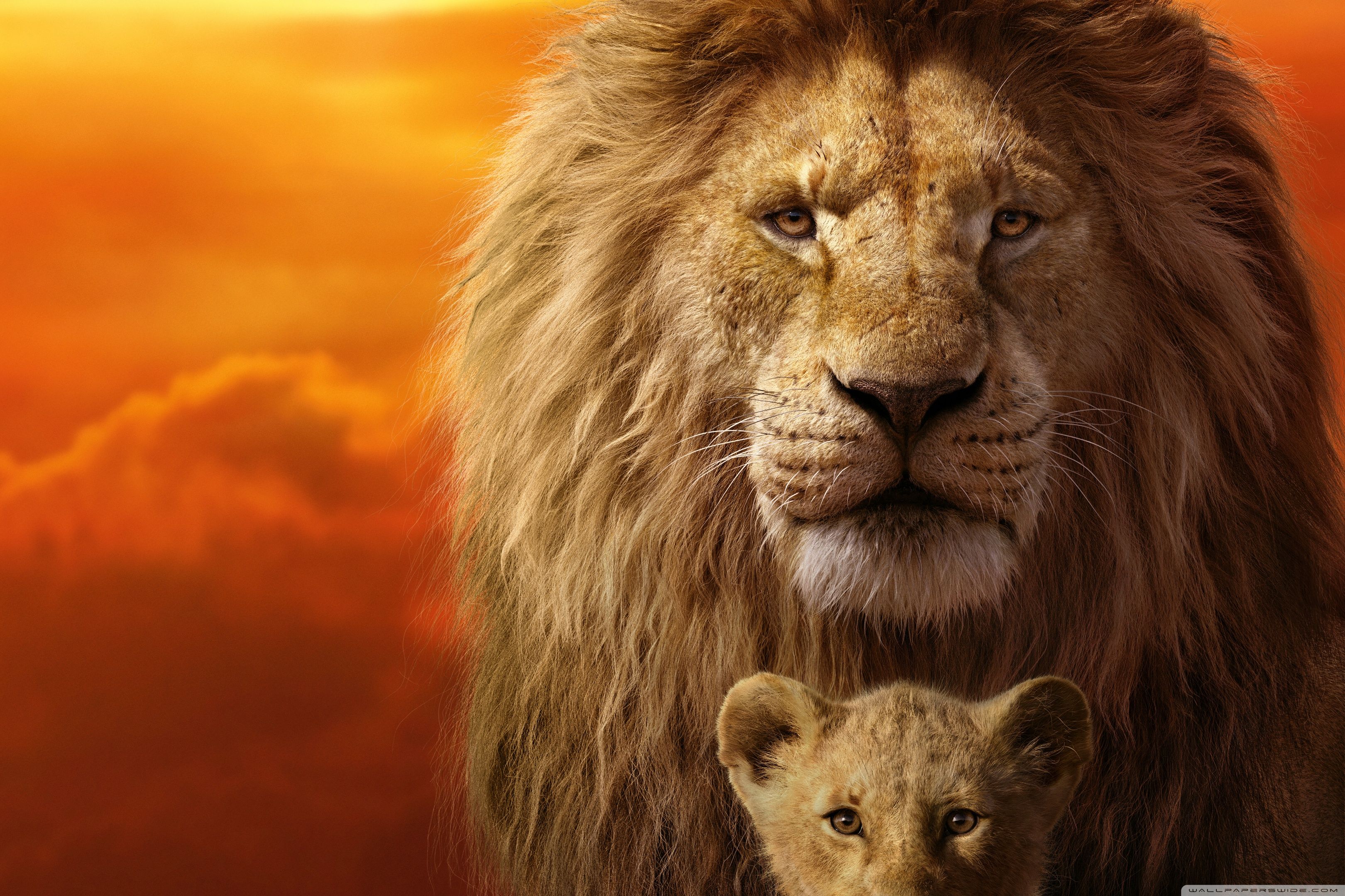 3240x2160 The Lion King Mufasa, Simba Ultra HD