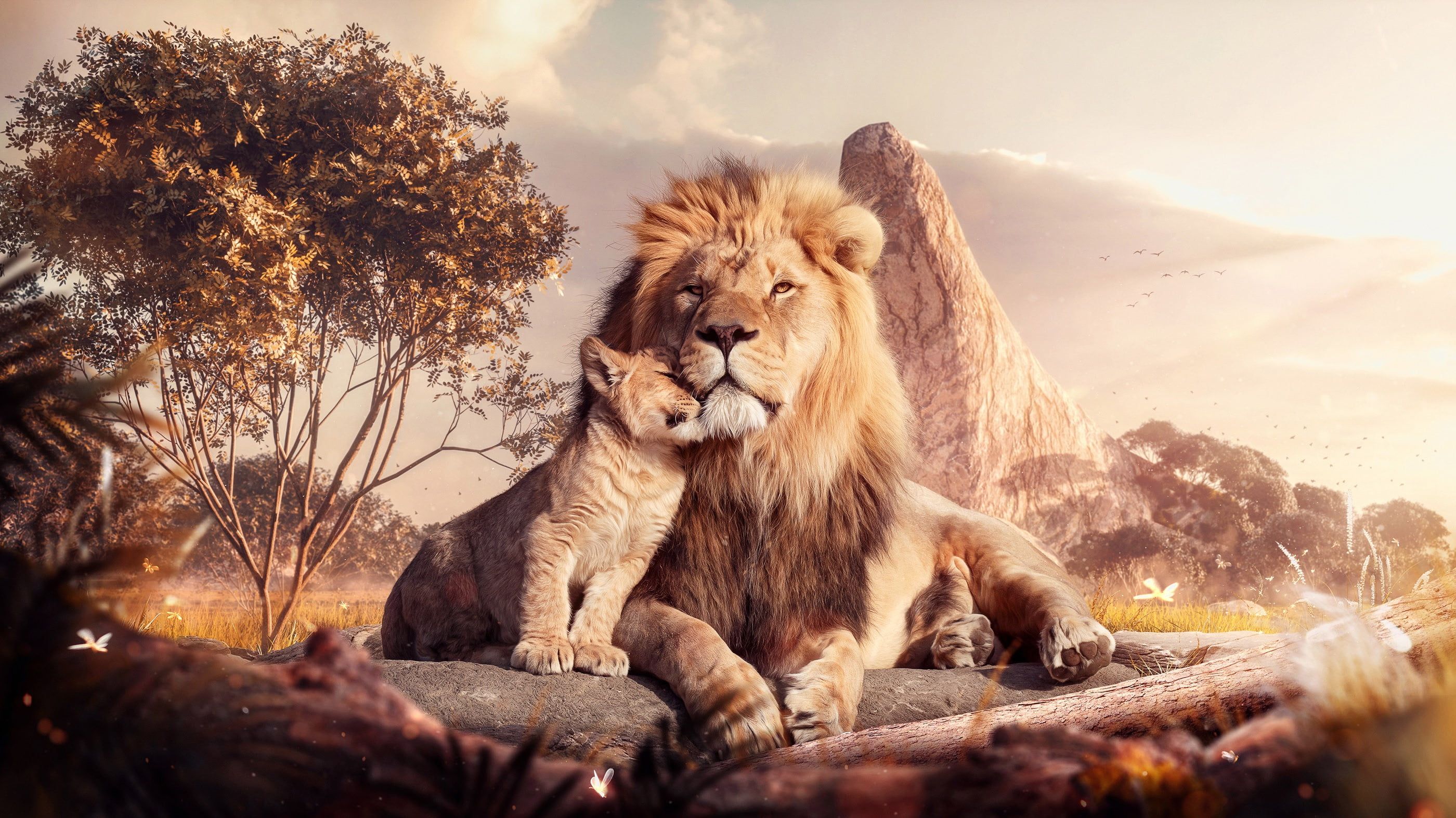 2800x1574 2019), Mufasa (The Lion King), Simba