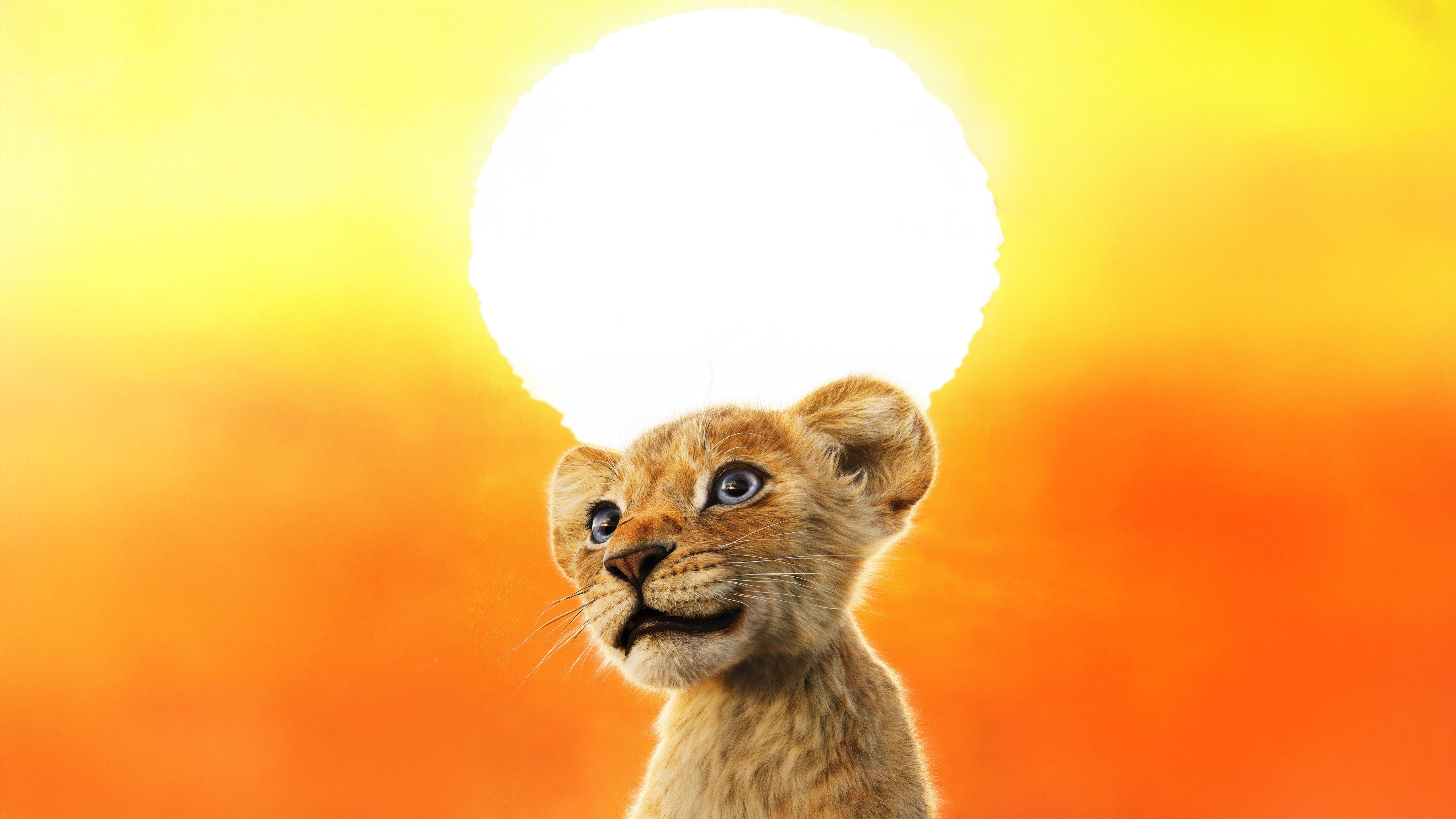 5120x2880 Disney Mufasa The Lion King Movie