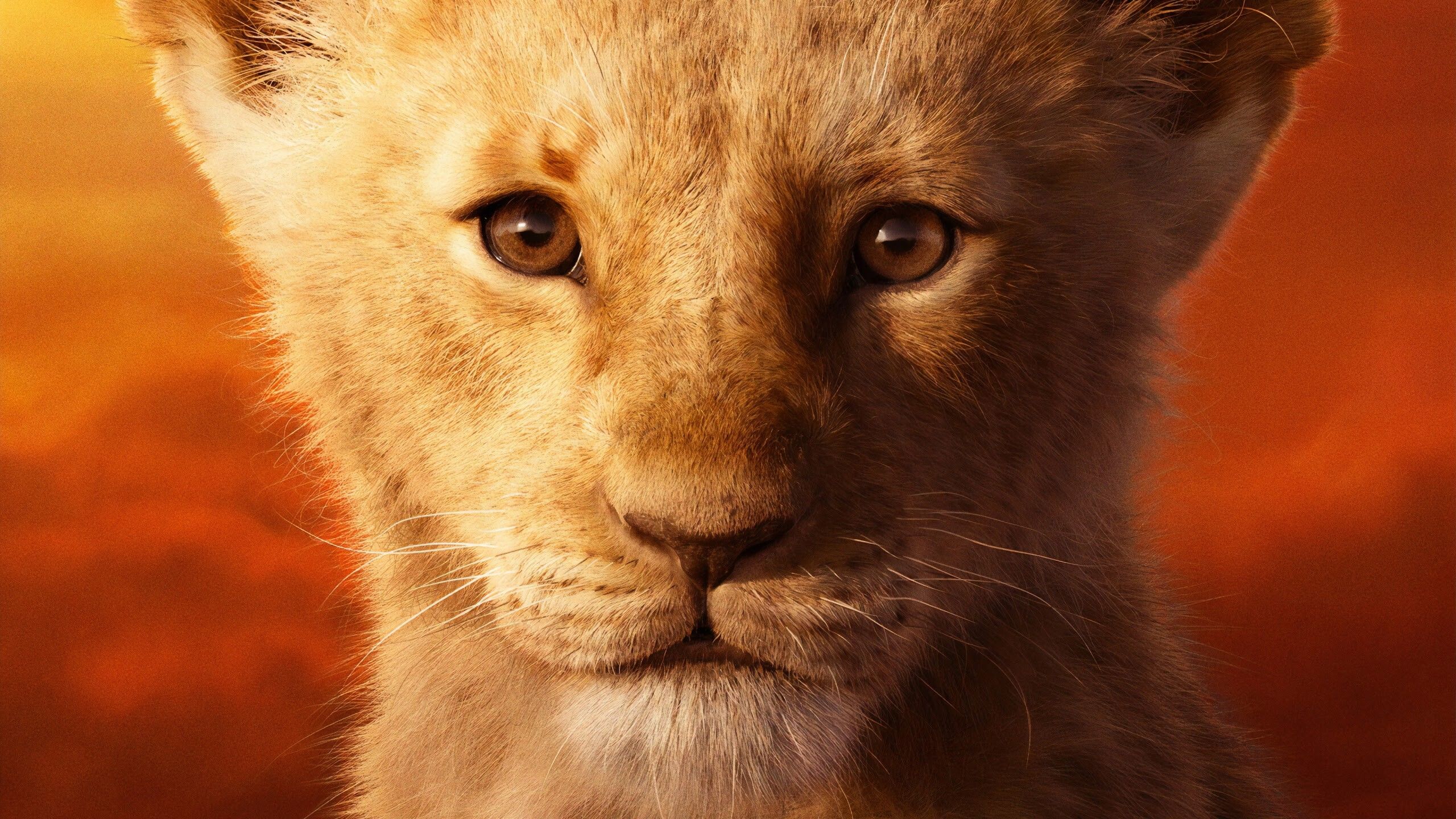 2560x1440 The Lion King Wallpaper 50 image