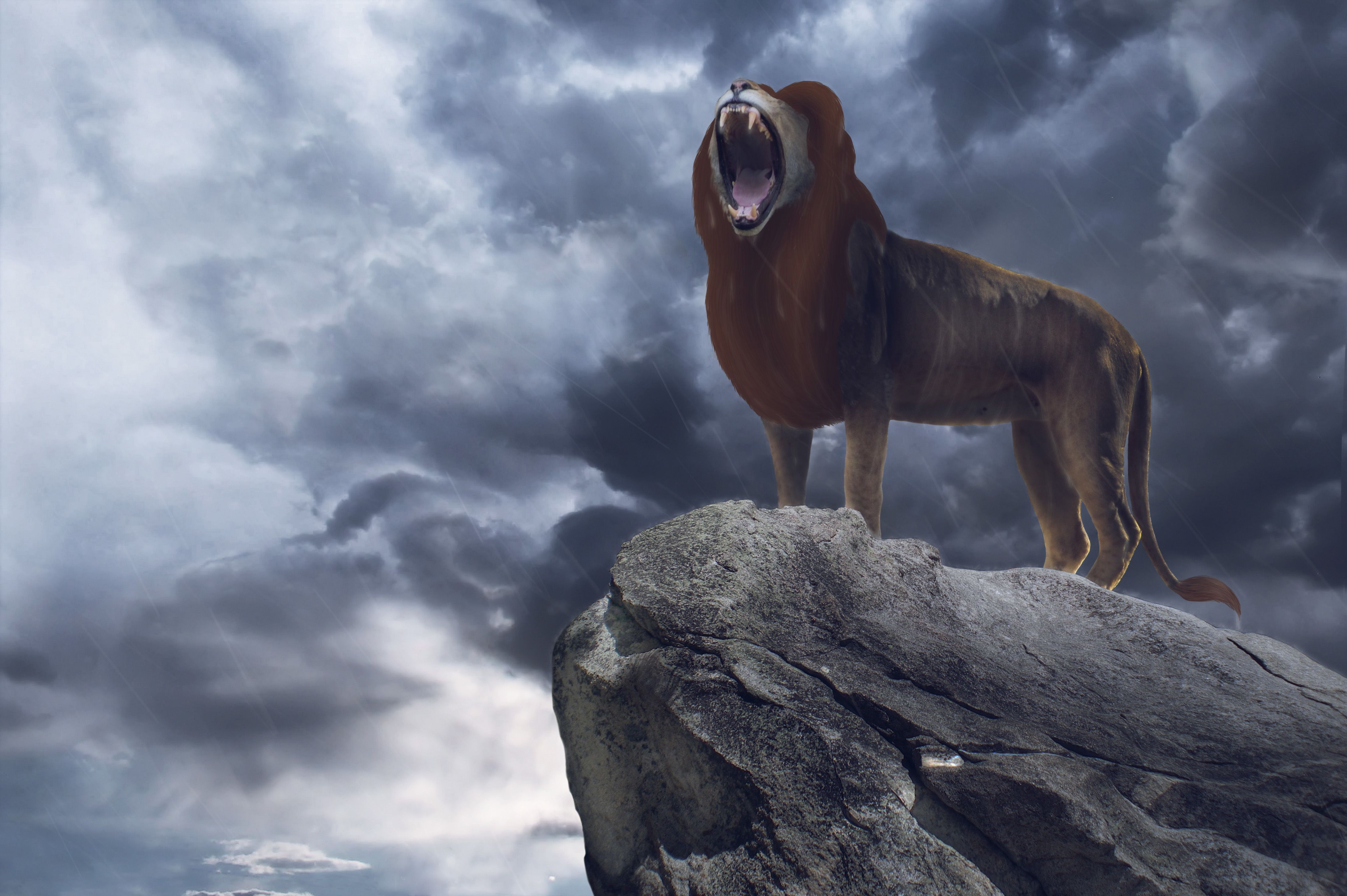 4428x2946 The Lion King 2019 Movie Wallpaper