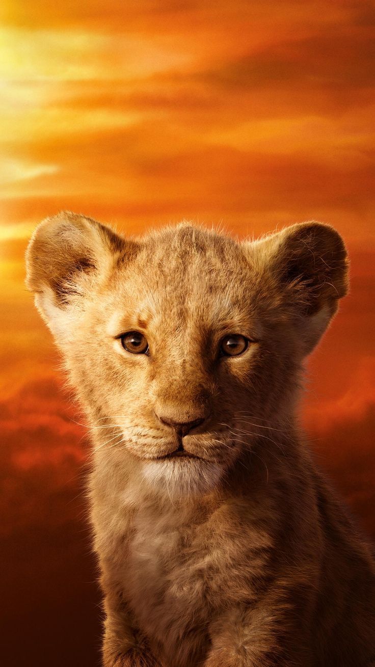 736x1309 The Lion King (2019) Phone Wallpaper