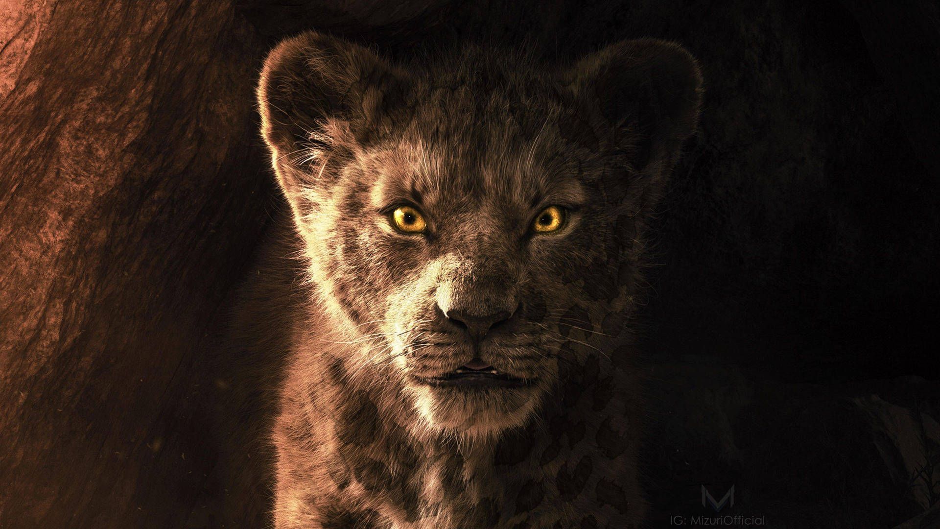 1920x1080 The Lion King Young Simba Live Action
