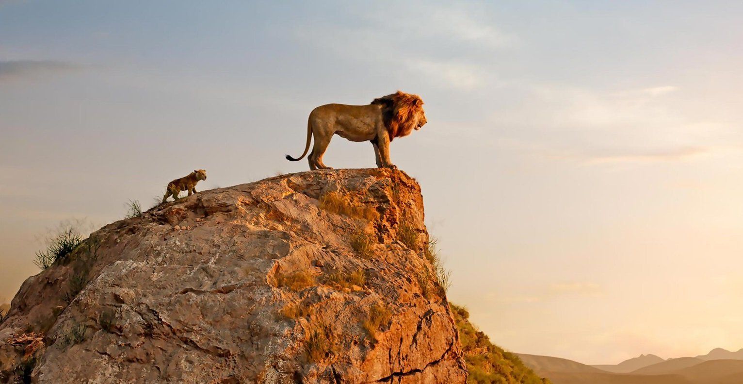 1532x791 The Lion King' A Faithful Retelling