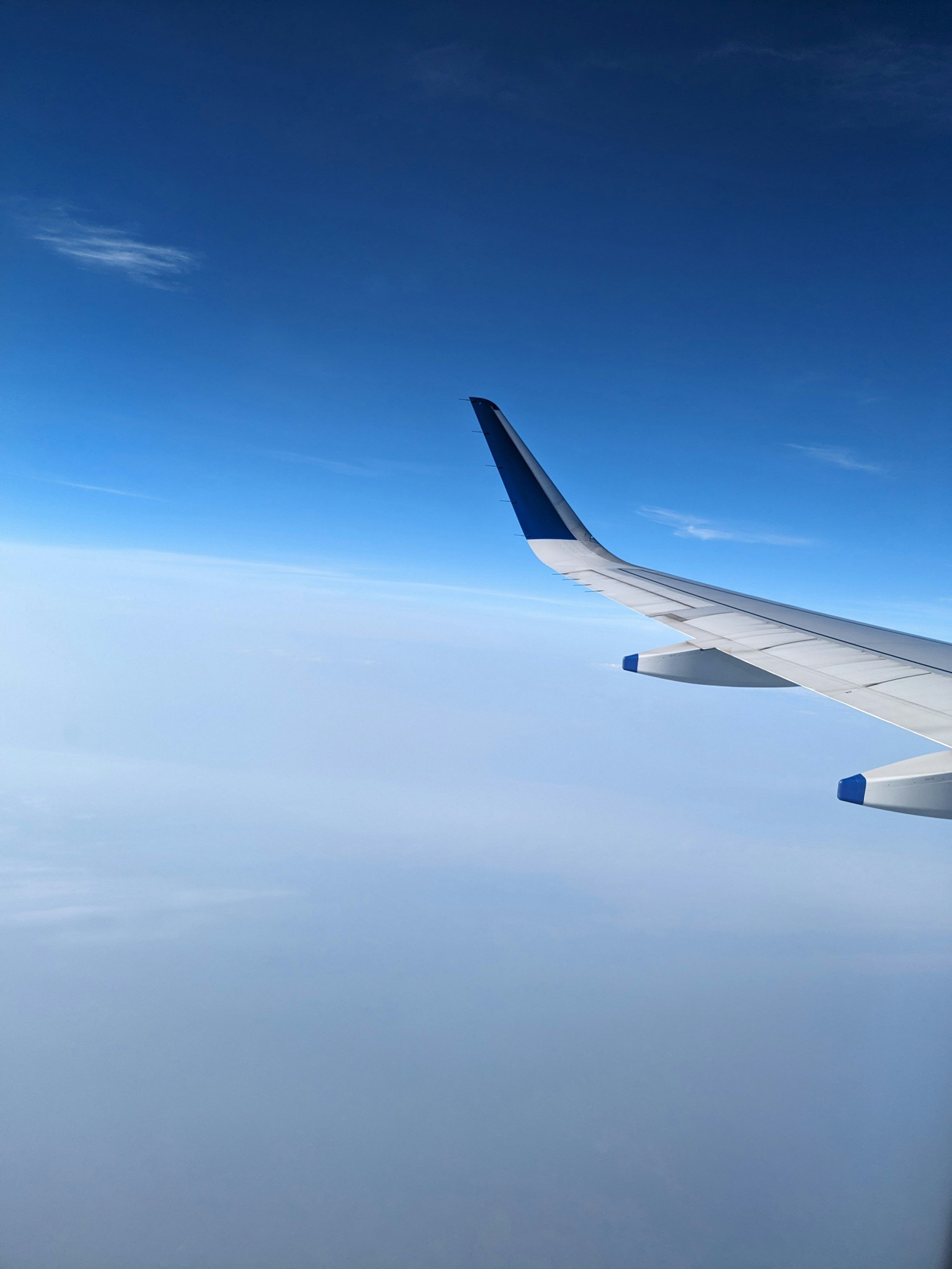 3000x4000 Indigo Airline Picture. Download Free