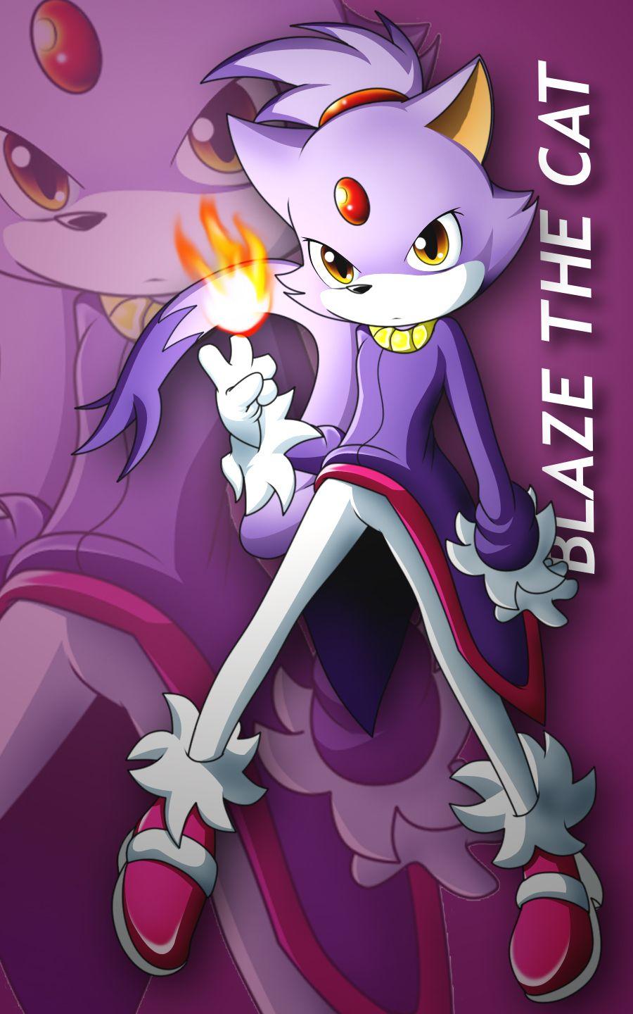900x1440 some blaze wallpaper the cat fanclub Photo