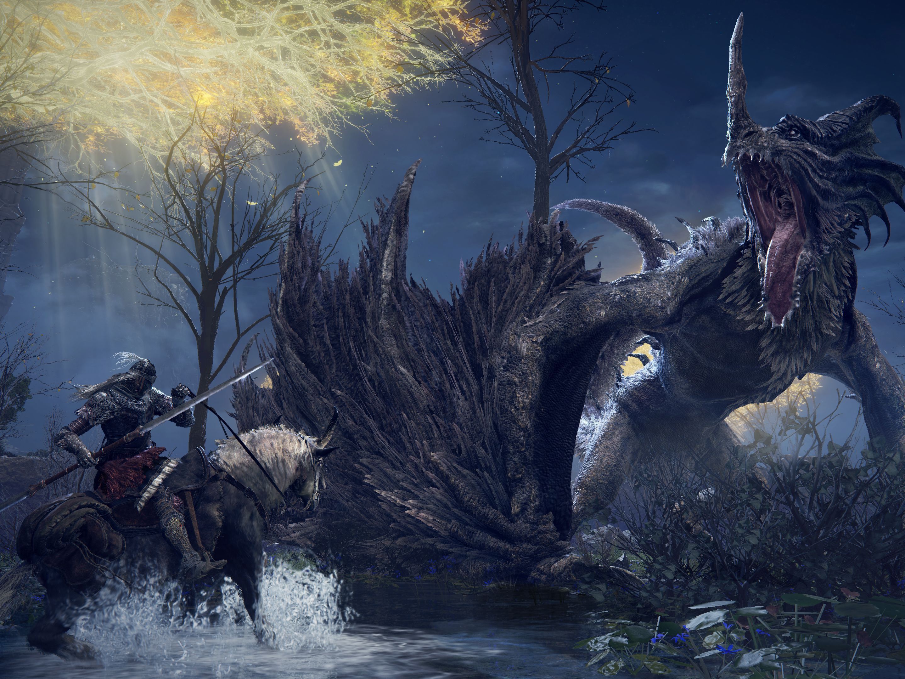 2876x2157 Elden Ring