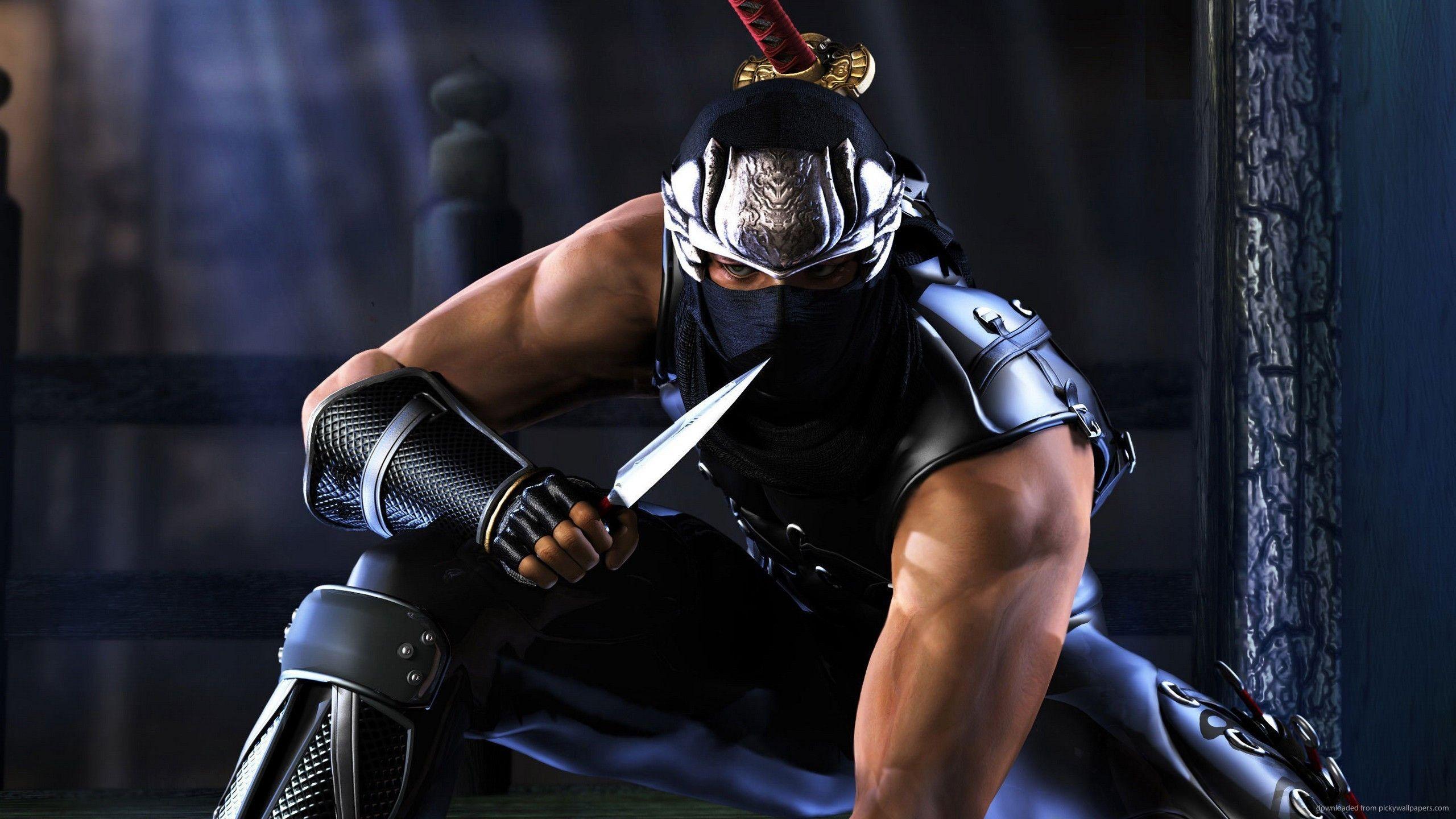 2560x1440 EIL621: Ninja Gaiden Wallpaper, Ninja Gaiden Background in Best