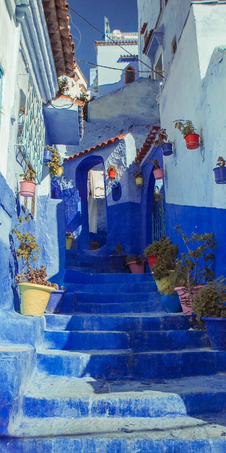 736x1472 Blue house paint, street, city