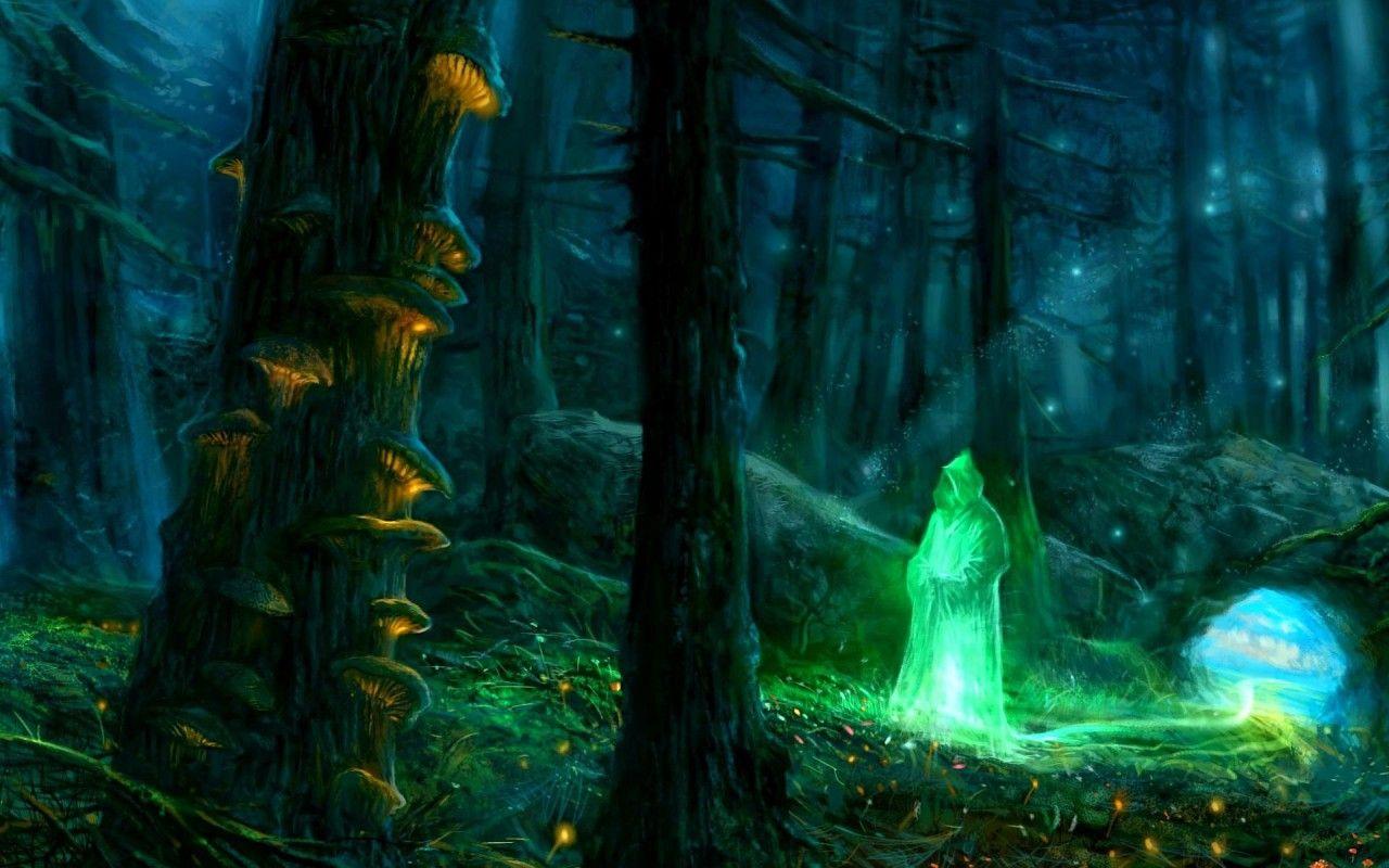 1280x800 Sorcerer in the woods, forest, tree, fantasy wallpaper