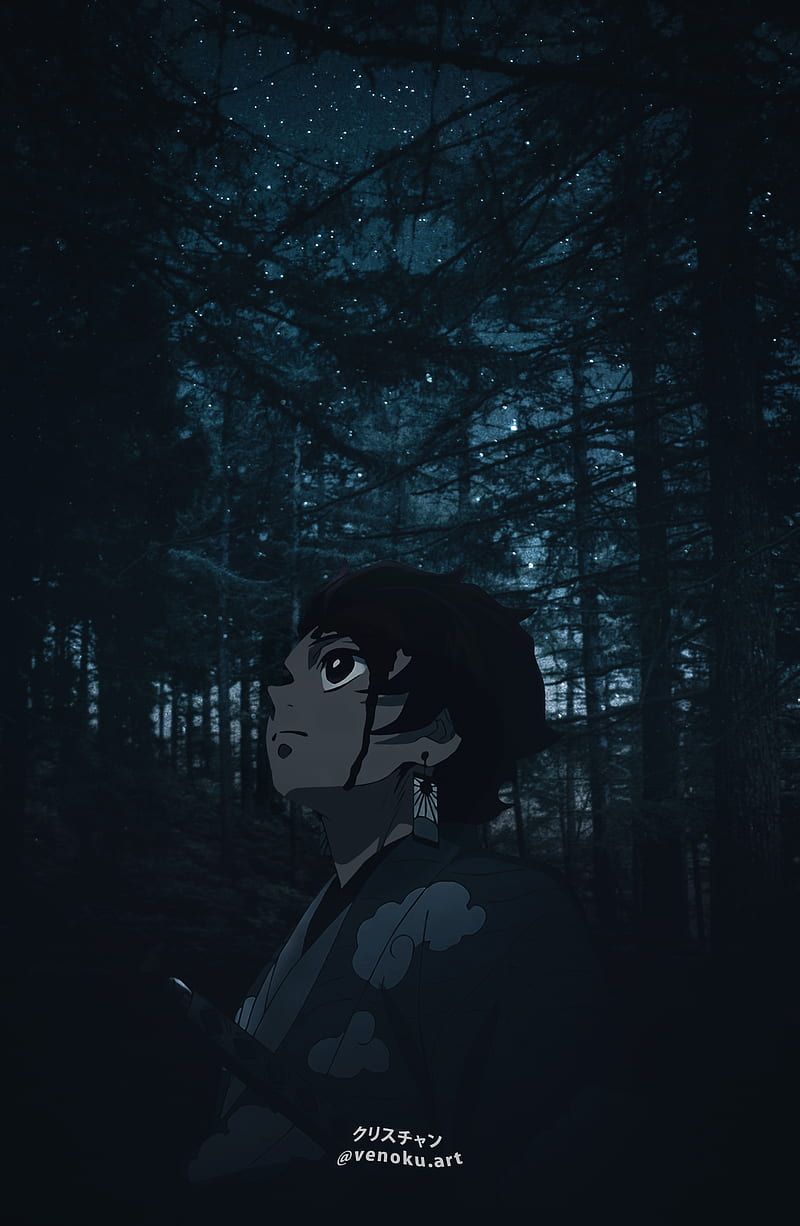 800x1226 Silent night, aesthetic, anime, demon slayer, forest, kamado, kny, manga, tanjiro, HD phone wallpaper