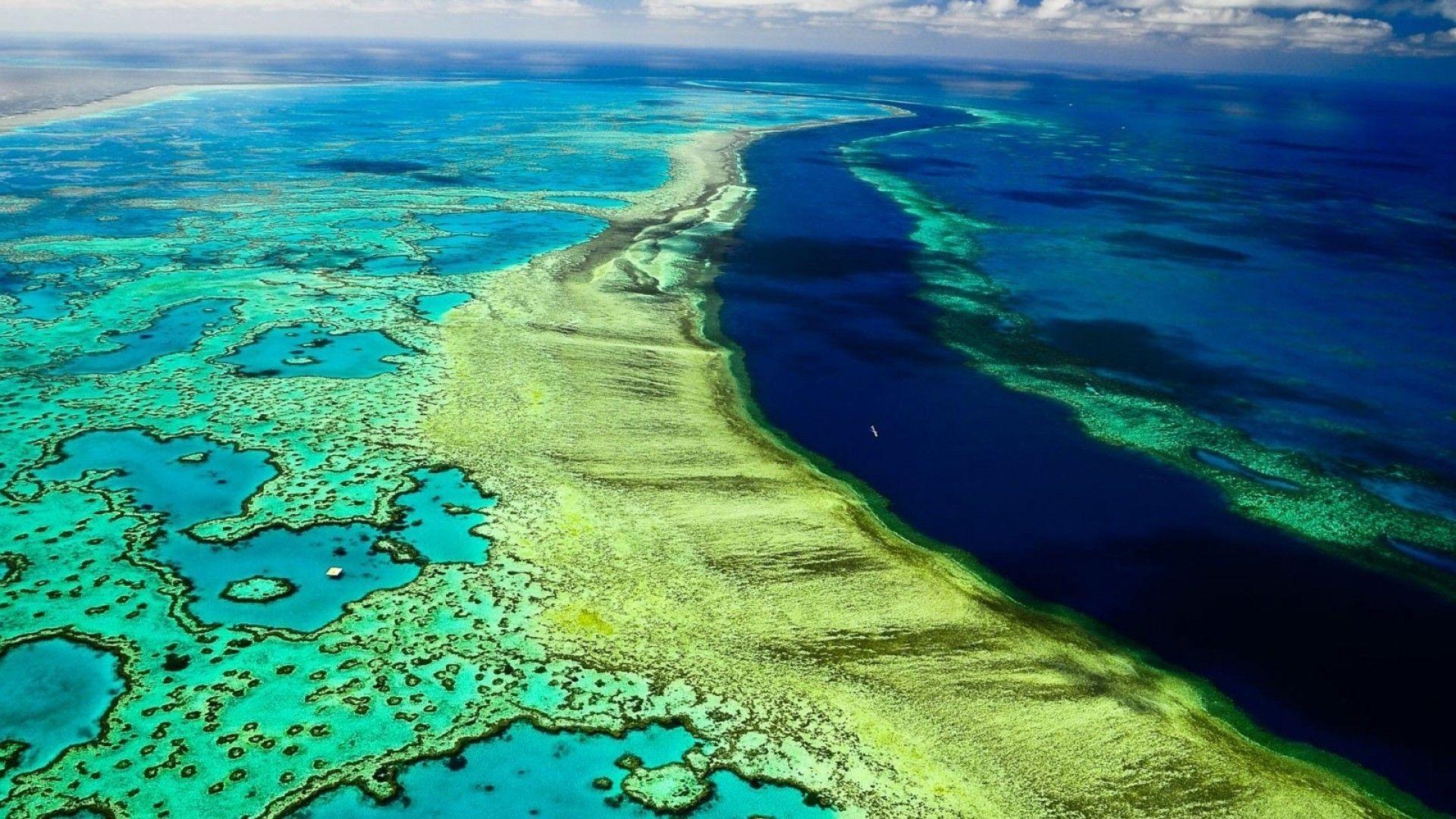 Great Barrier Reef Wallpapers - Top Free Great Barrier Reef Backgrounds ...