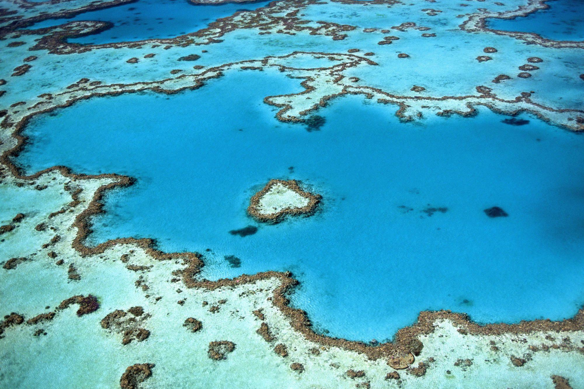 2000x1333 Aerial View Coral Reef Wallpaper