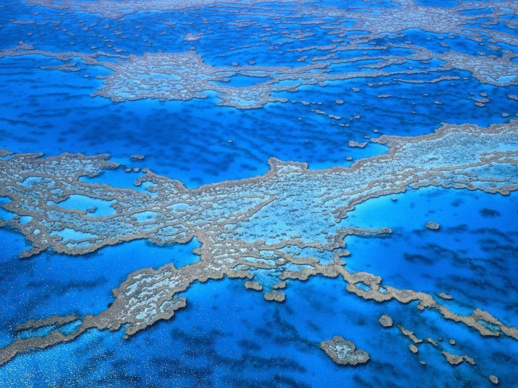 1024x768 Great Barrier Reef Wallpaper