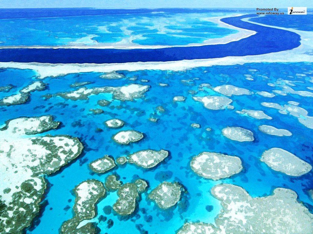 1024x768 Great Barrier Reef wallpaper. Great Barrier Reef wallpaper