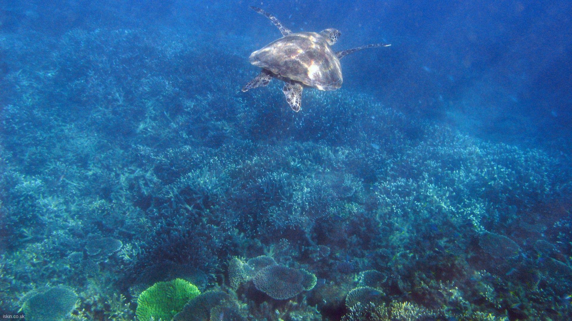 1920x1080 Great Barrier Reef Wallpaper