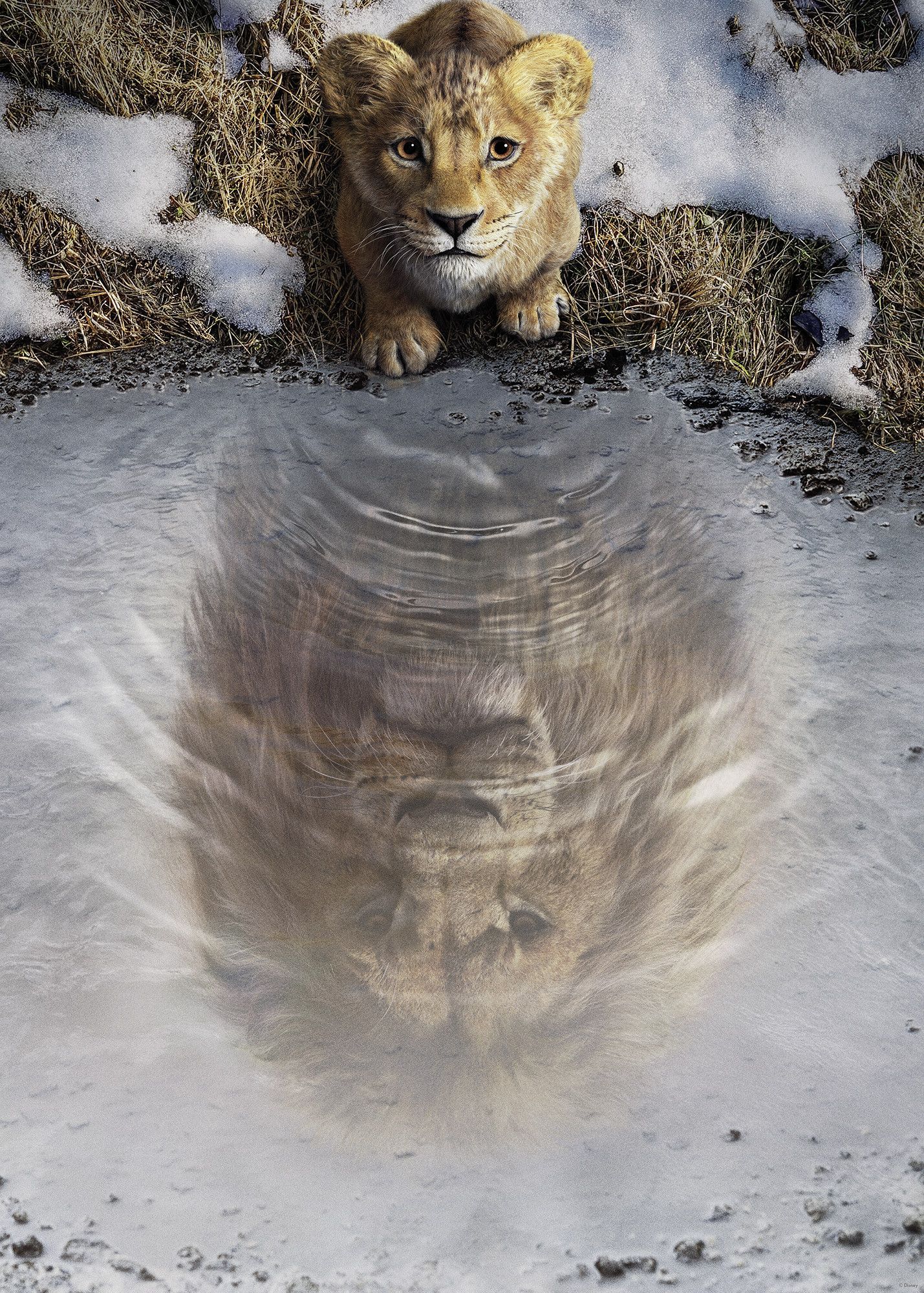 1429x2000 Disney Mufasa The Lion King