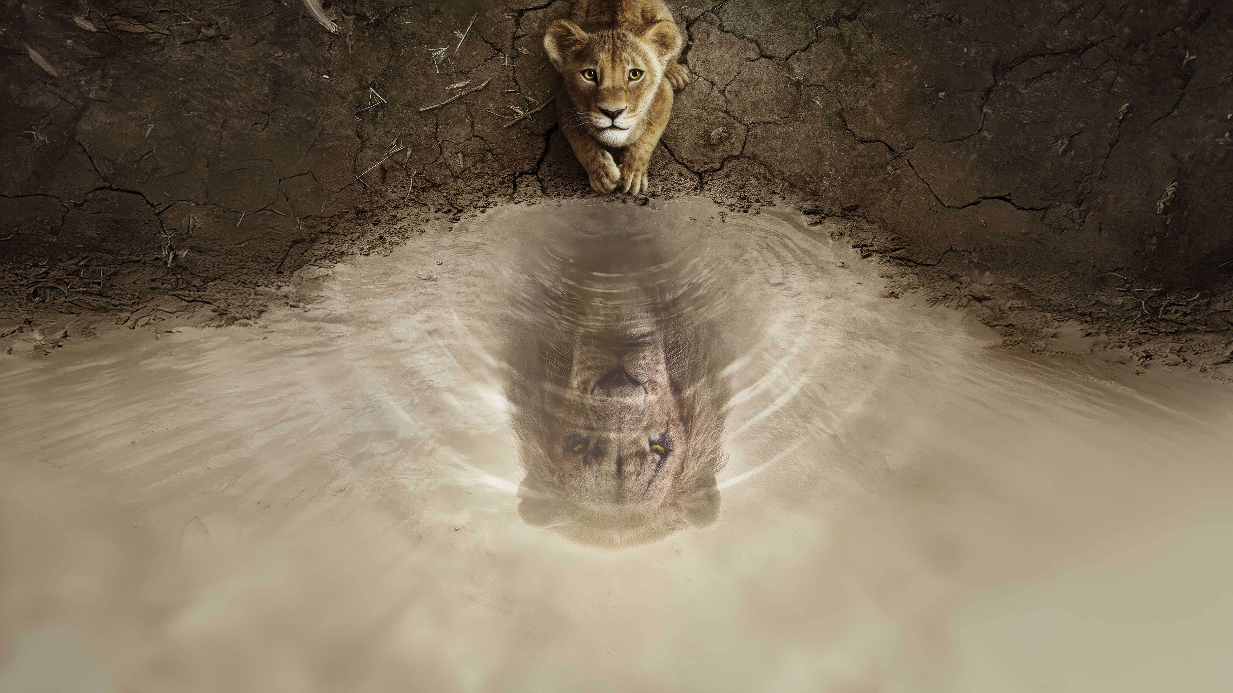 5120x2880 Download Mufasa (The Lion King) 4k
