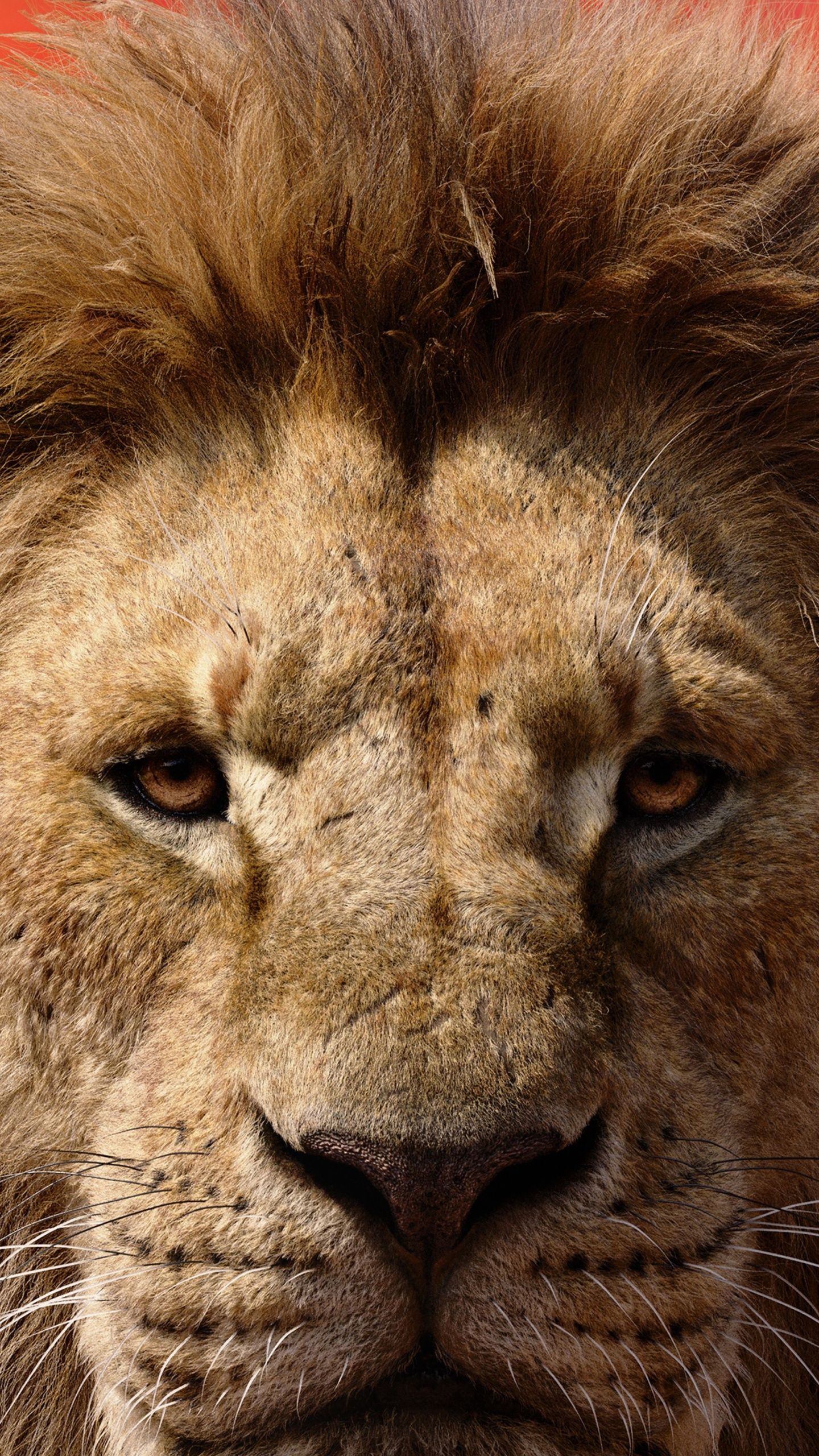 1440x2560 Mufasa The Lion King 2024 Film Ultra HD
