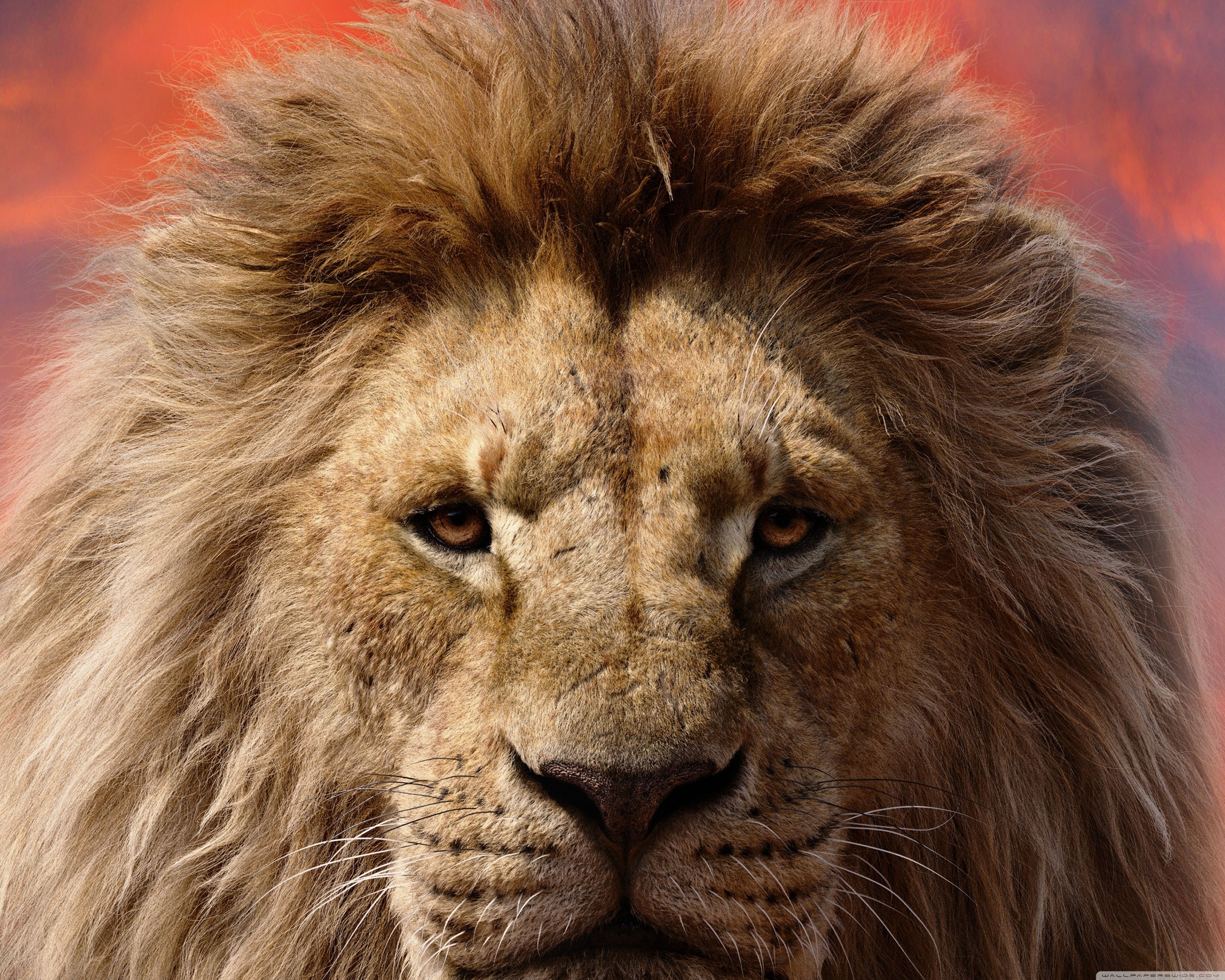 3750x3000 Mufasa The Lion King 2024 Film Ultra HD