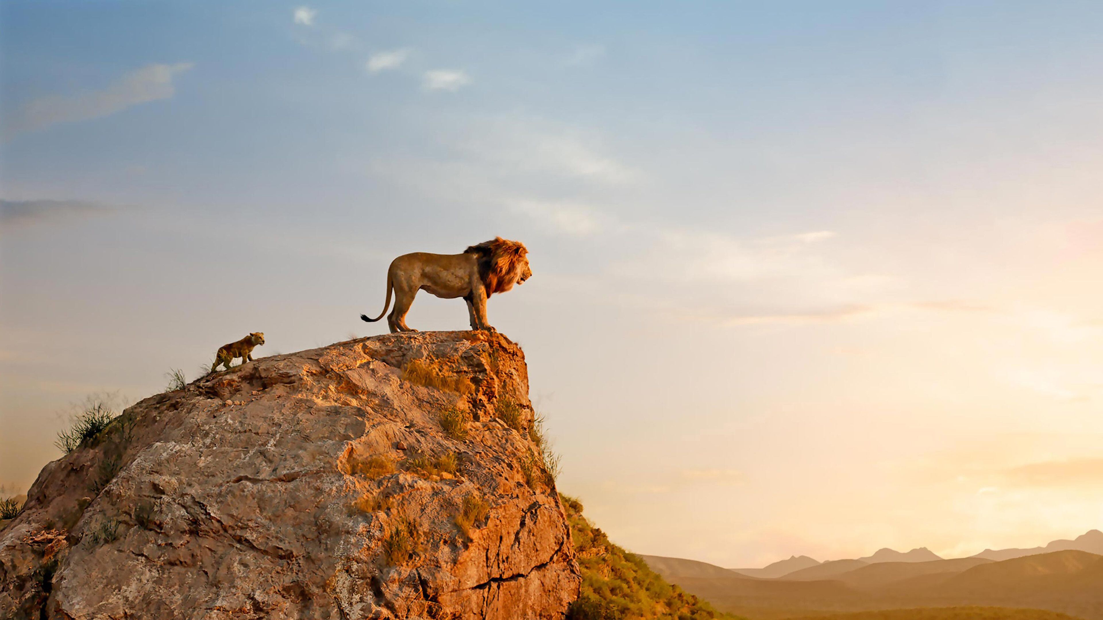 3840x2160 The Lion King Wallpaper 50 image