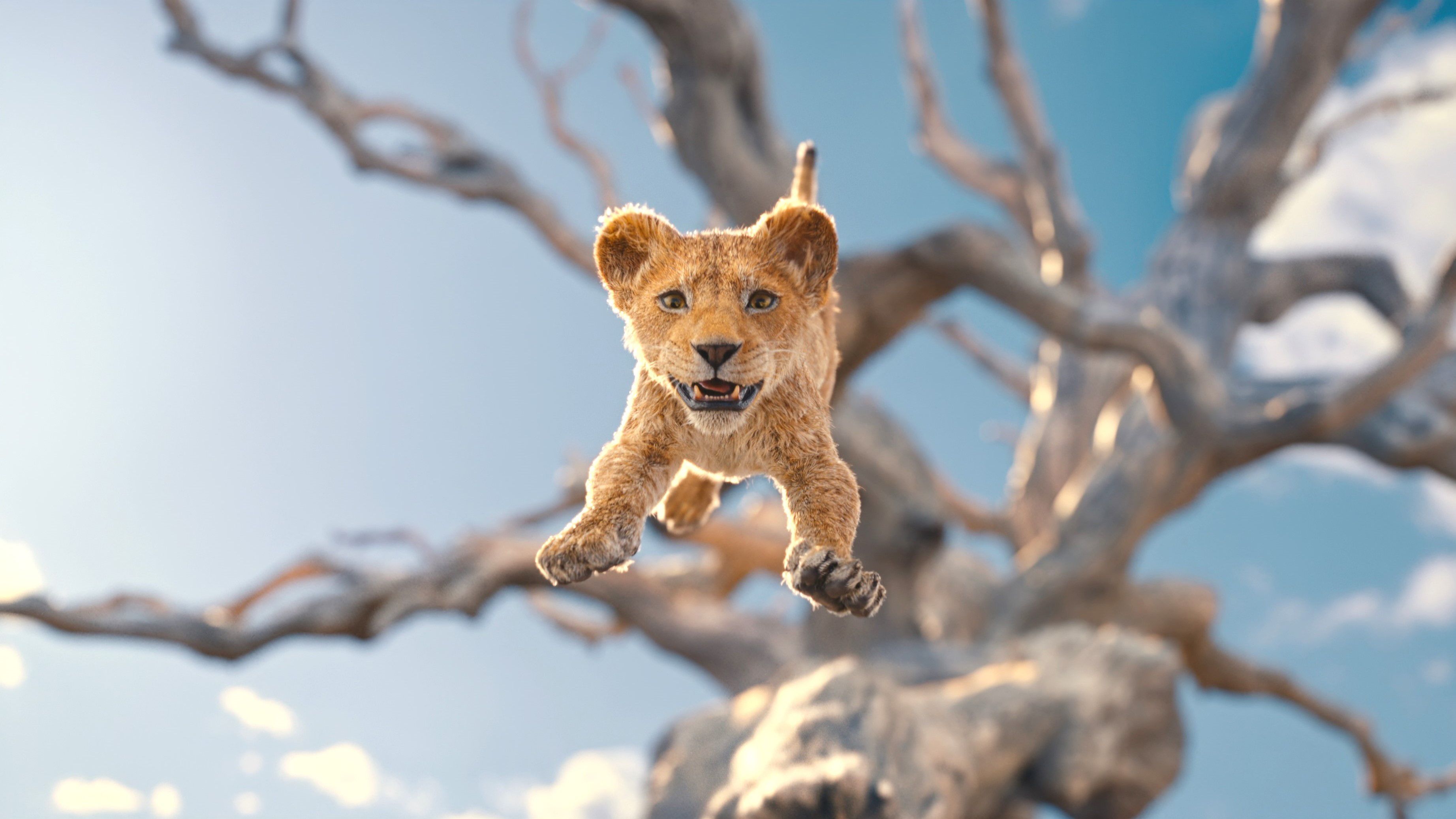3687x2074 Mufasa: The Lion King Wallpaper