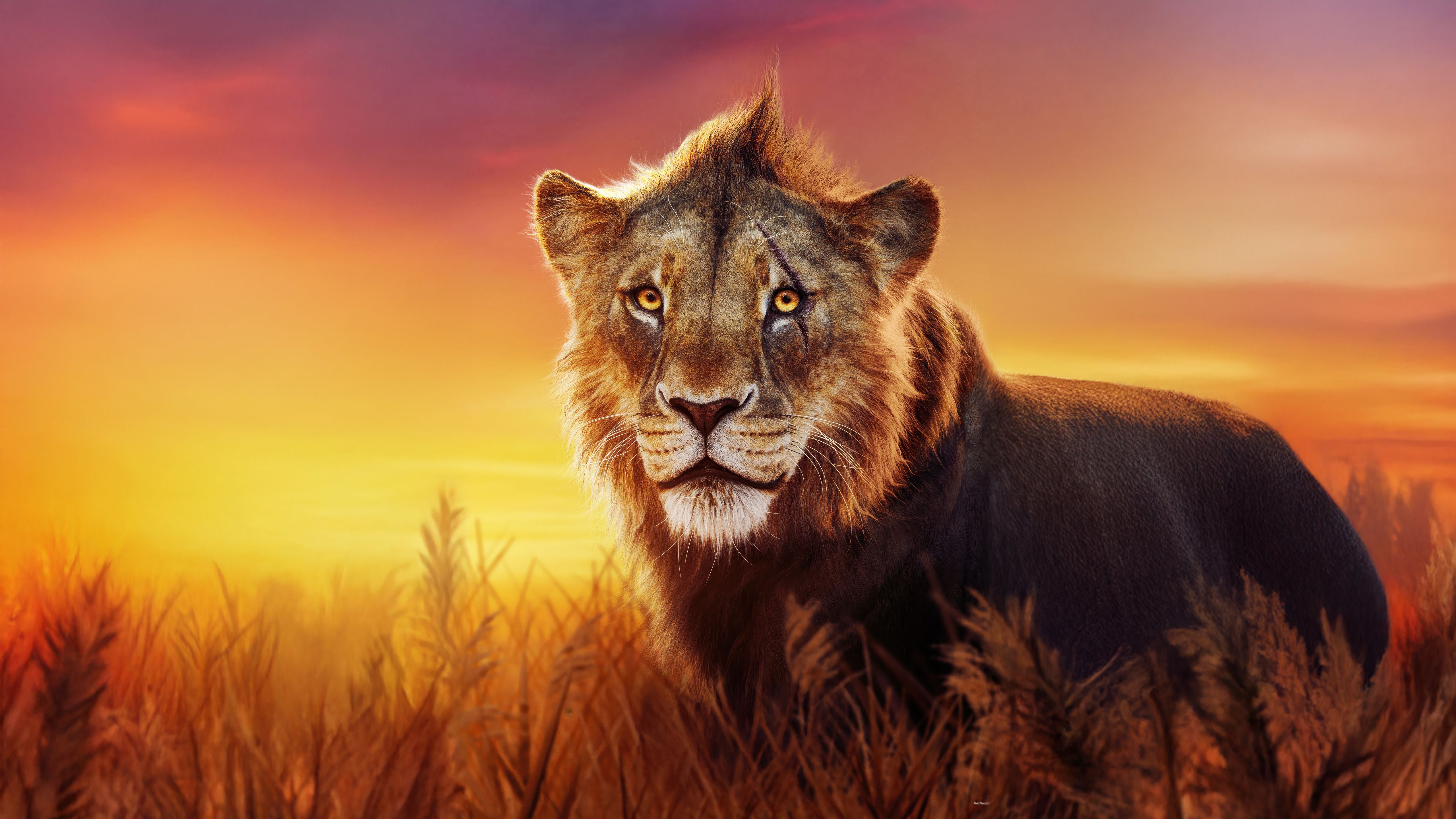 5120x2880 Taka In Mufasa The Lion King Wallpaper