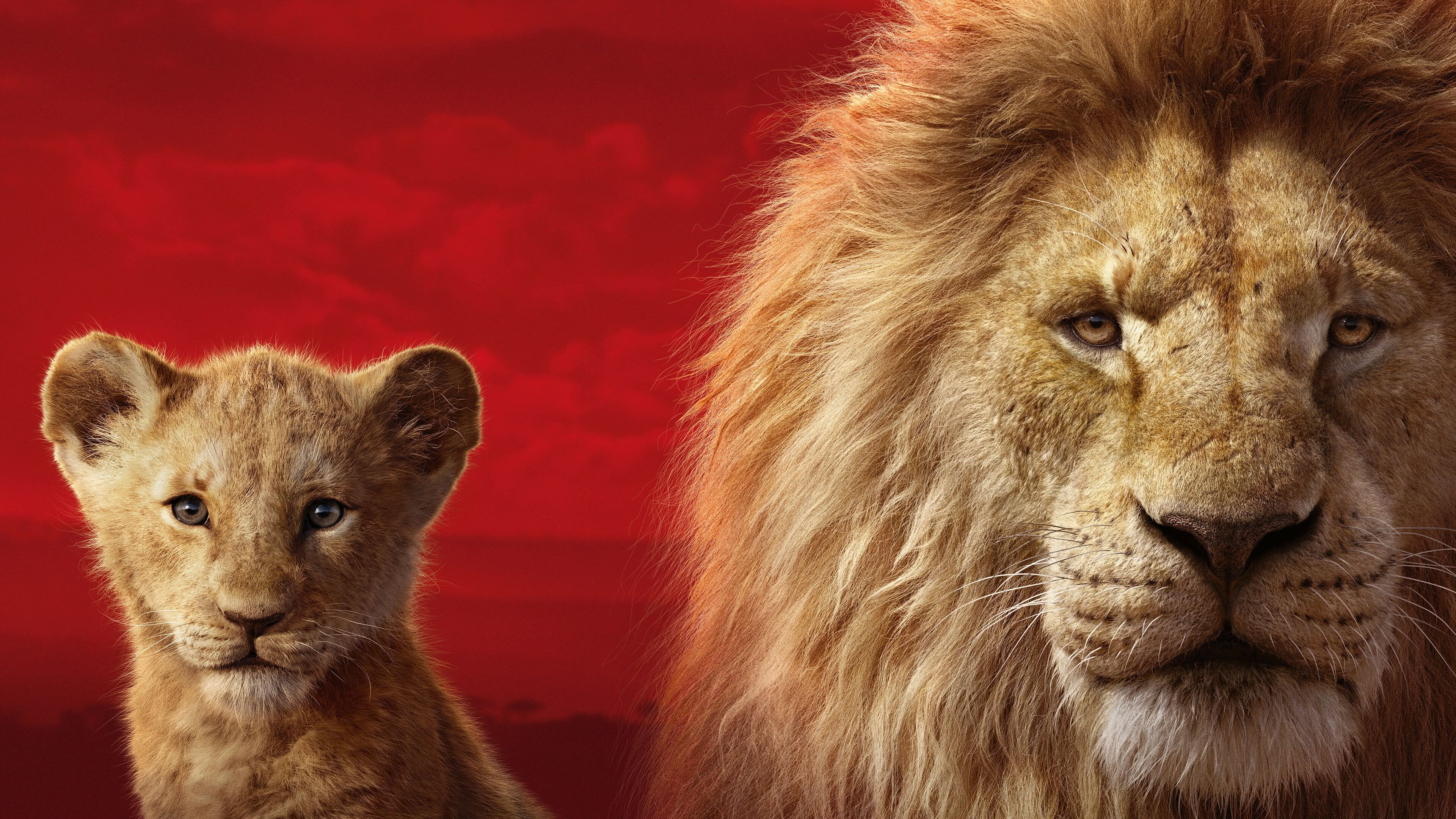 3840x2160 The Lion King Wallpaper 50 image