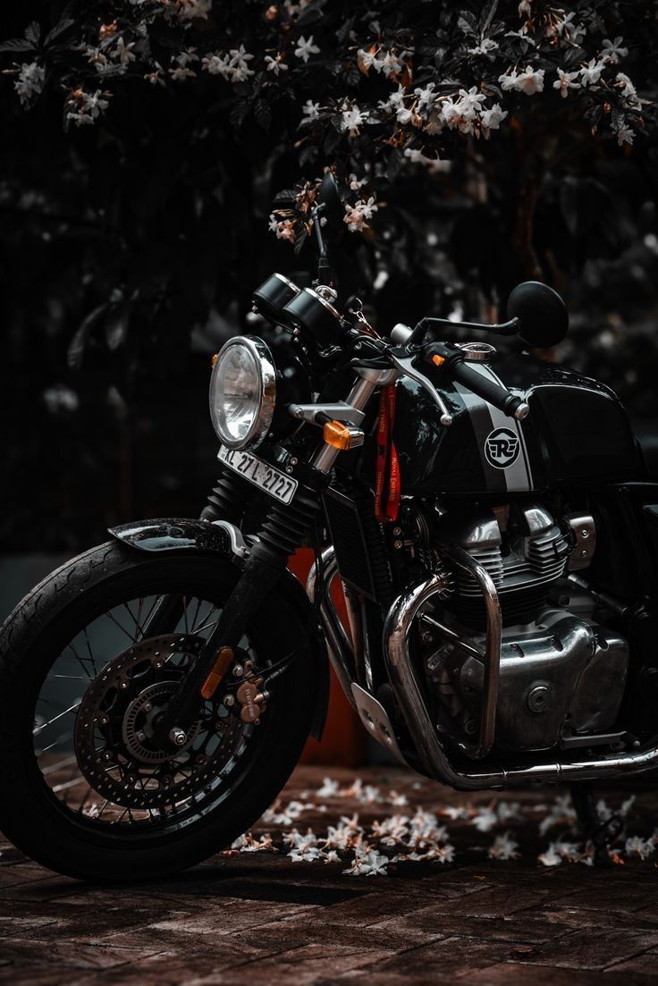 736x1103 Royal Enfield Continental GT Wallpaper