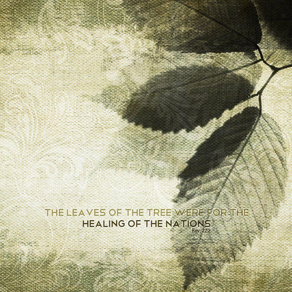 Healing Wallpapers - Top Free Healing Backgrounds - WallpaperAccess