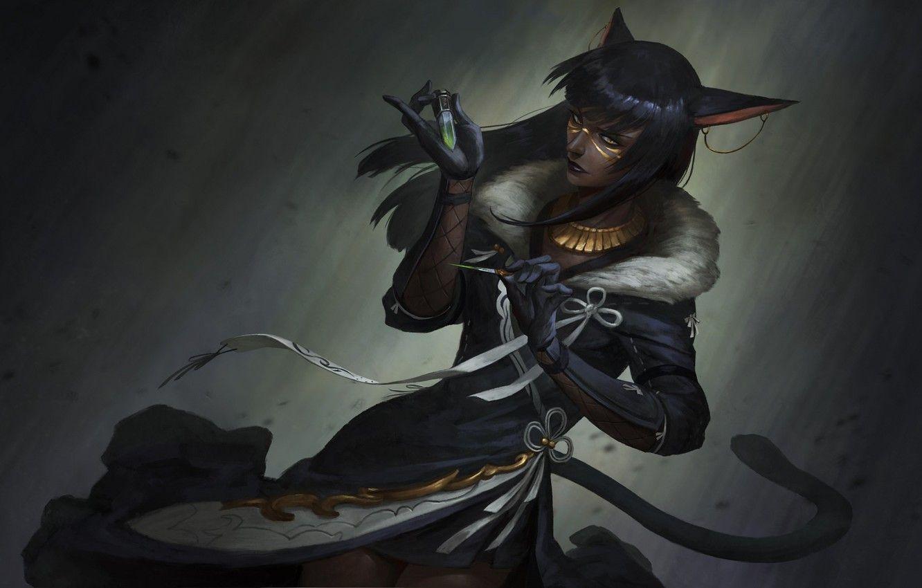 1332x850 Wallpaper cat, girl, stone image for desktop, section