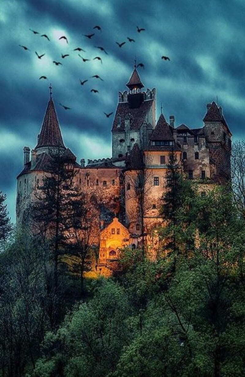 800x1228 Most Popular Dracula Wallpaper