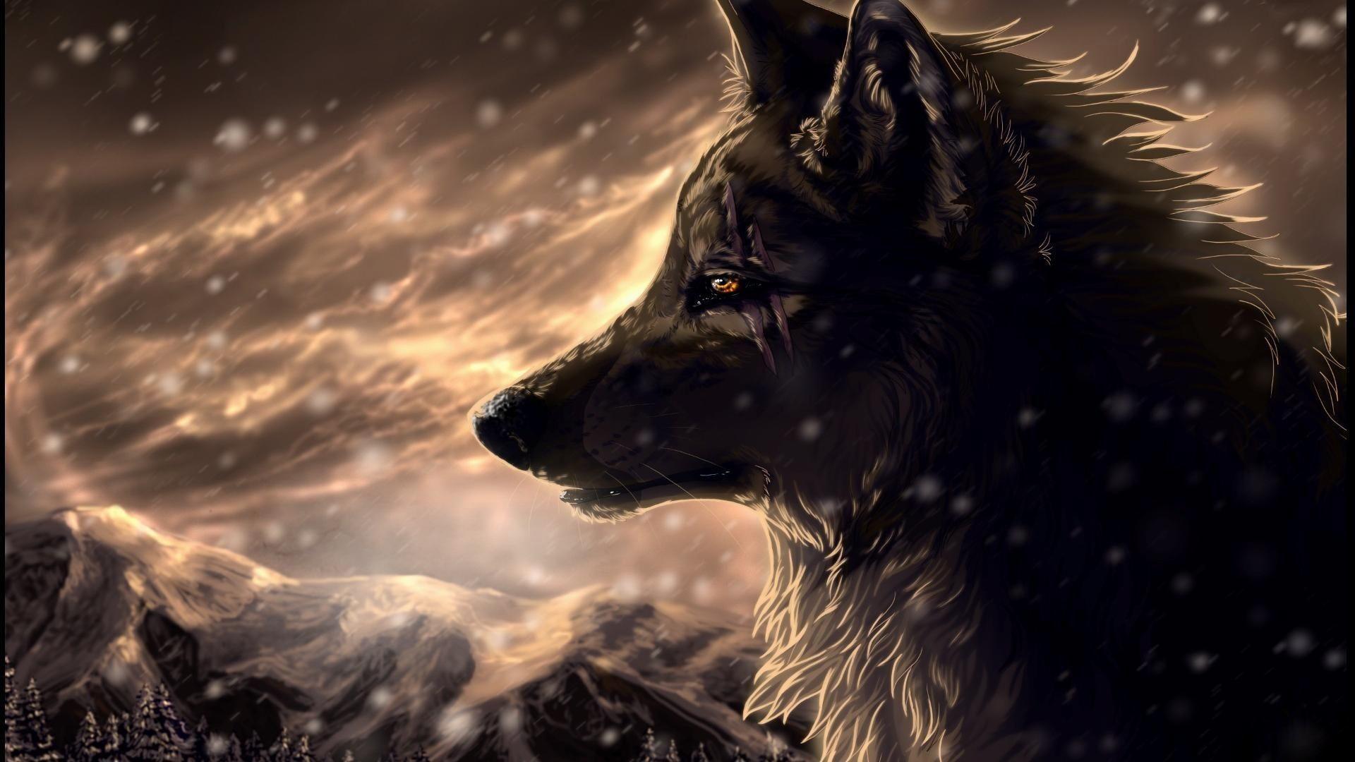 Shadow Wolf Wallpapers Top Free Shadow Wolf Backgrounds WallpaperAccess