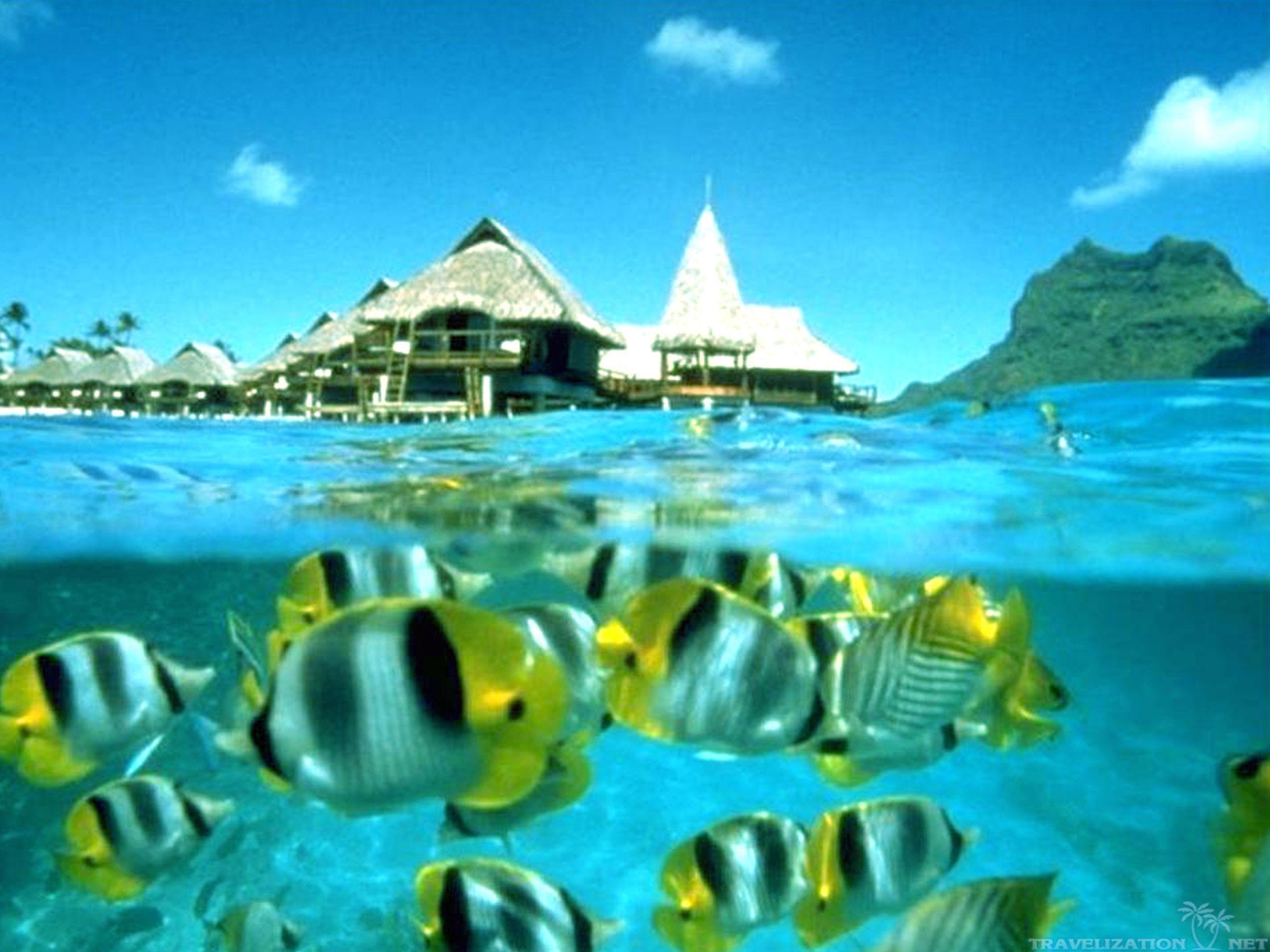 2560x1920 Tahiti Desktop Wallpaper