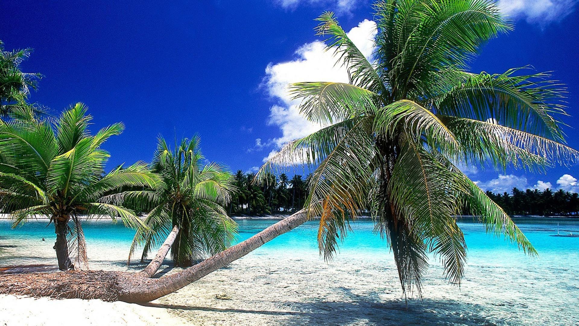Tahiti Wallpapers - Top Free Tahiti Backgrounds - WallpaperAccess