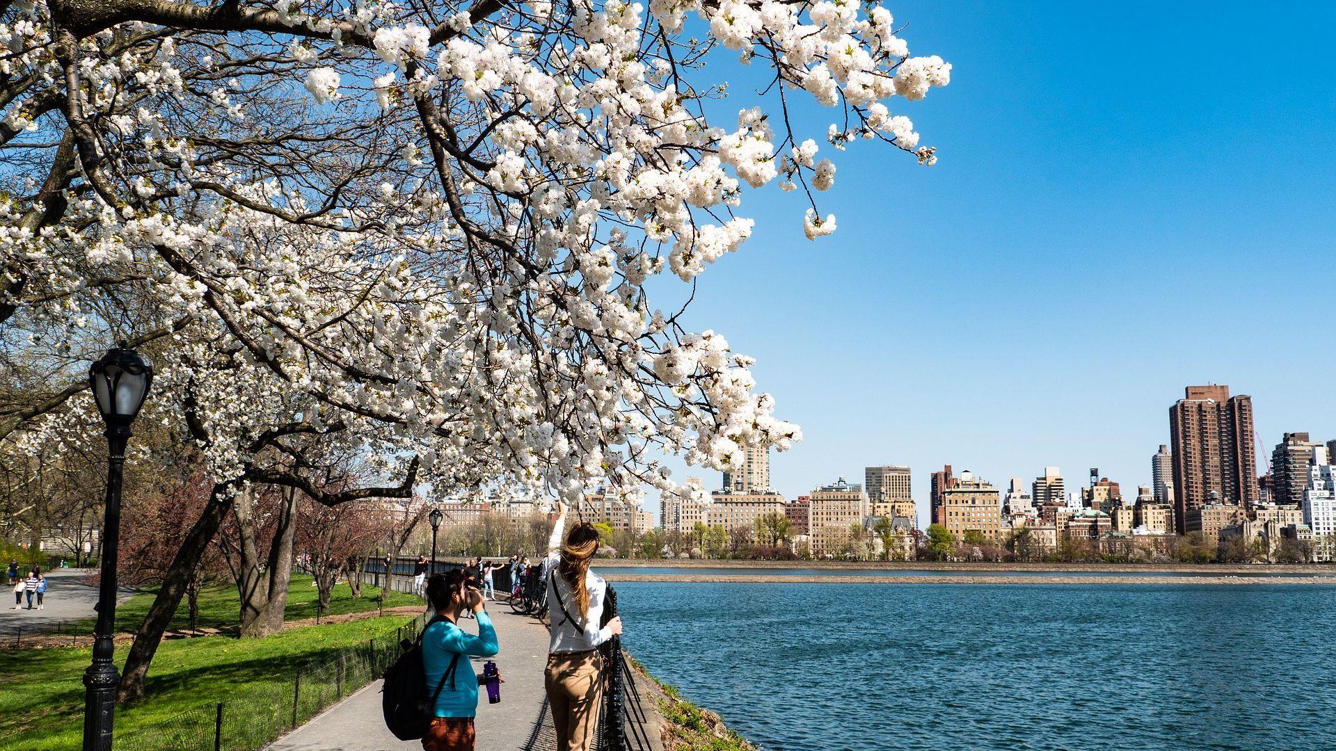 1920x1080 New York City Central Park Close Up Wallpaper York Wallpaper