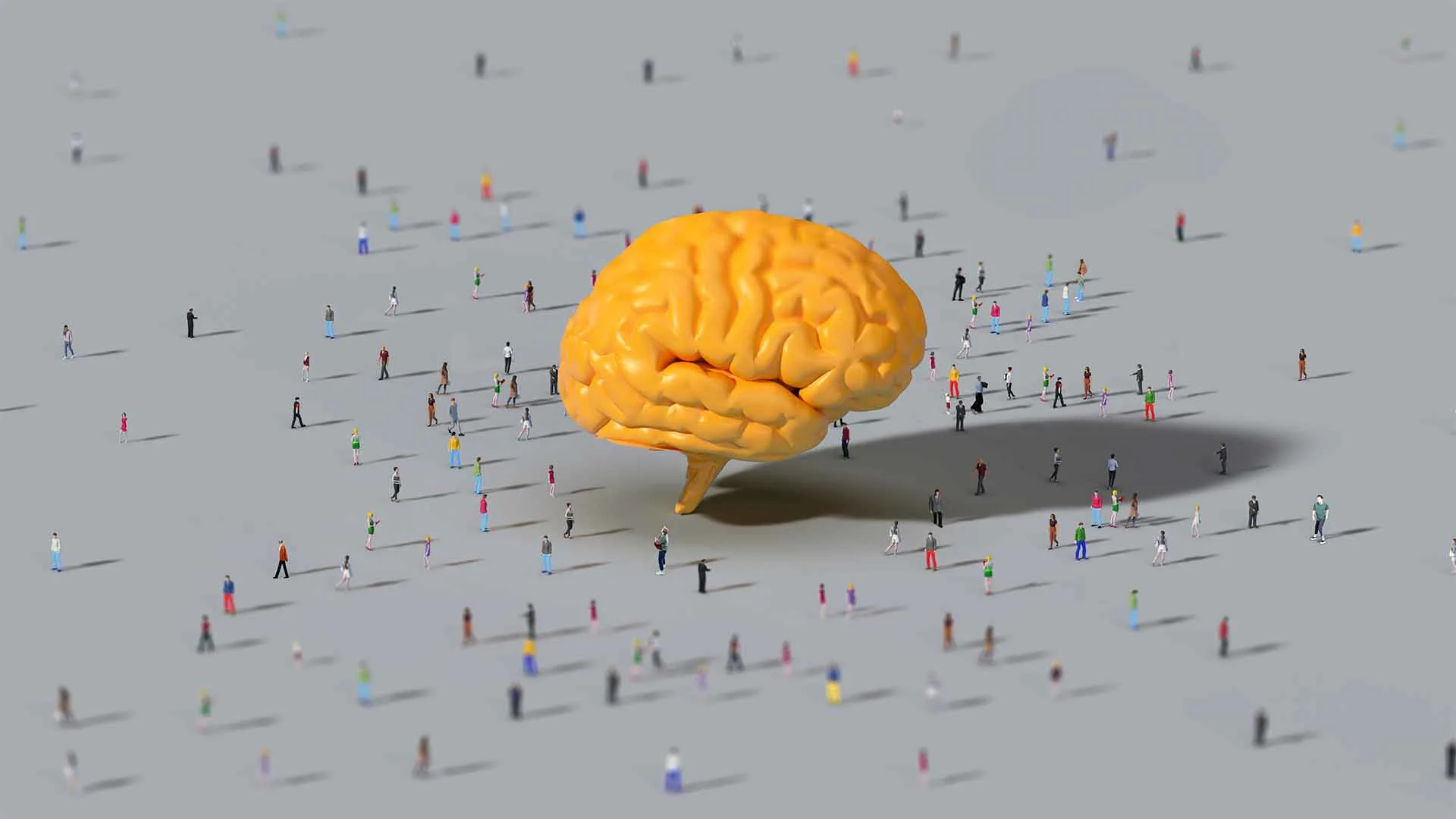 1920x1080 Smart People to Make Dumb Decisions