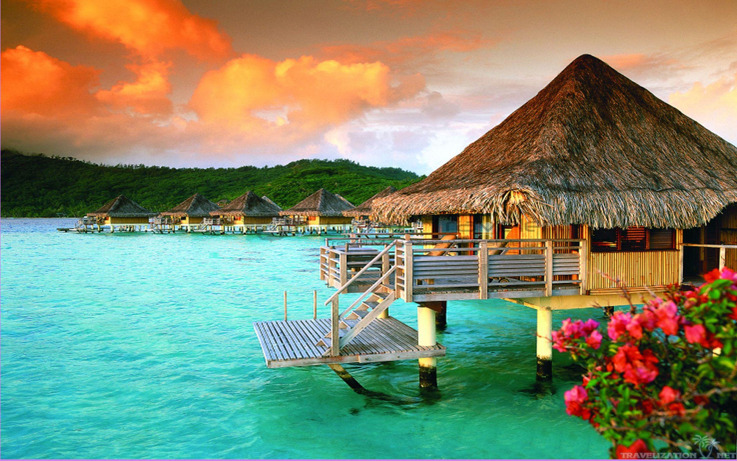 Tahiti Wallpapers Top Free Tahiti Backgrounds Wallpaperaccess