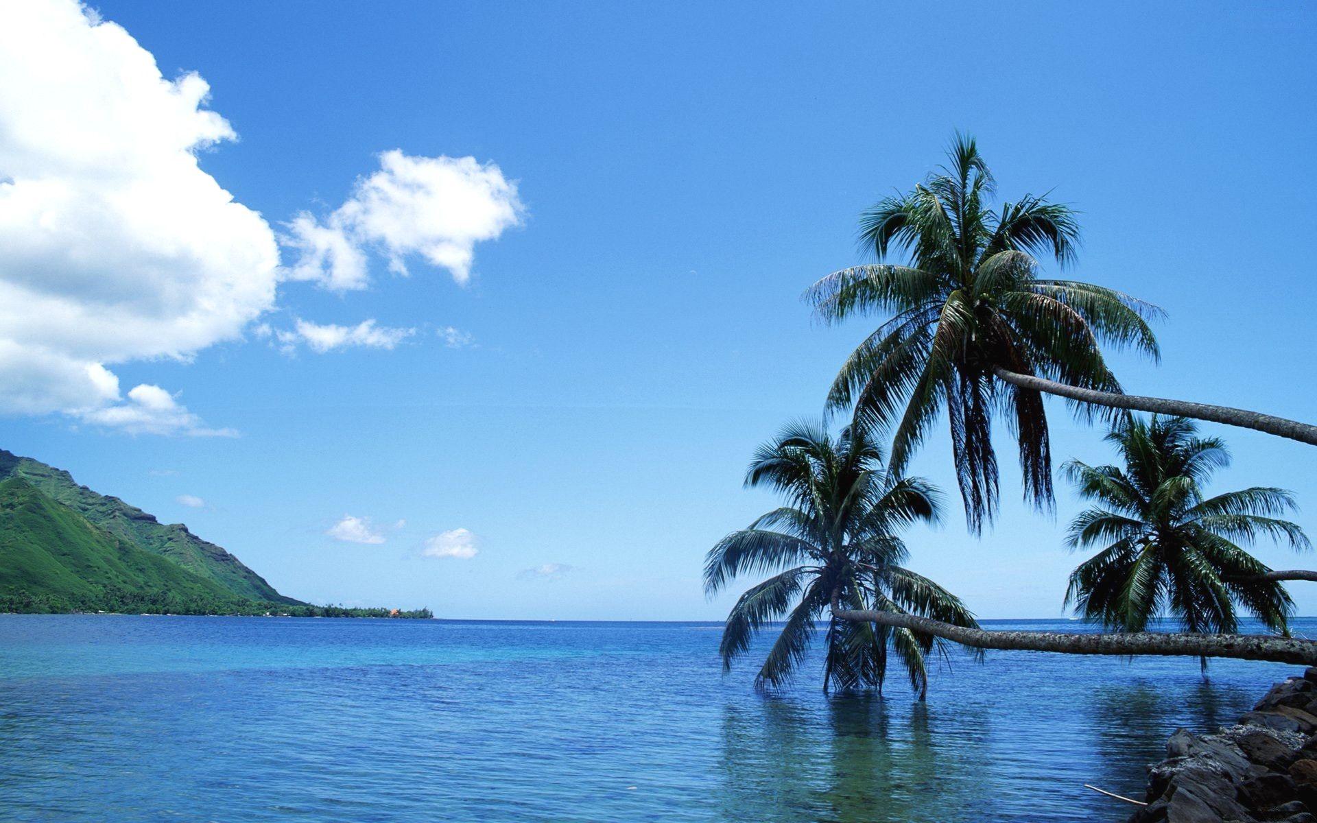 1920x1200 Tahiti Picture High Resolution Avec Tahiti Sea HD Widescreen High