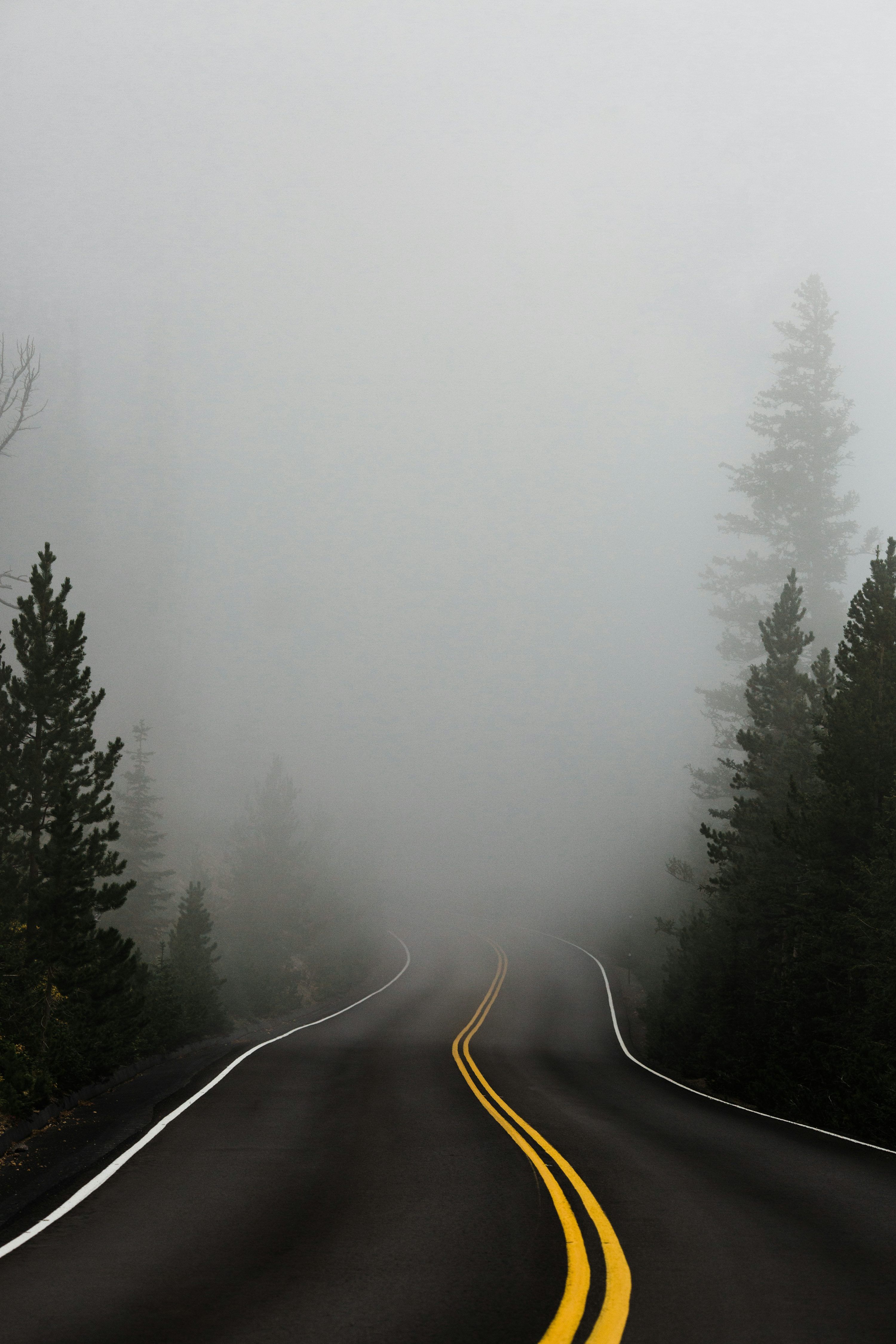 3000x4500 Fog Picture. Download Free
