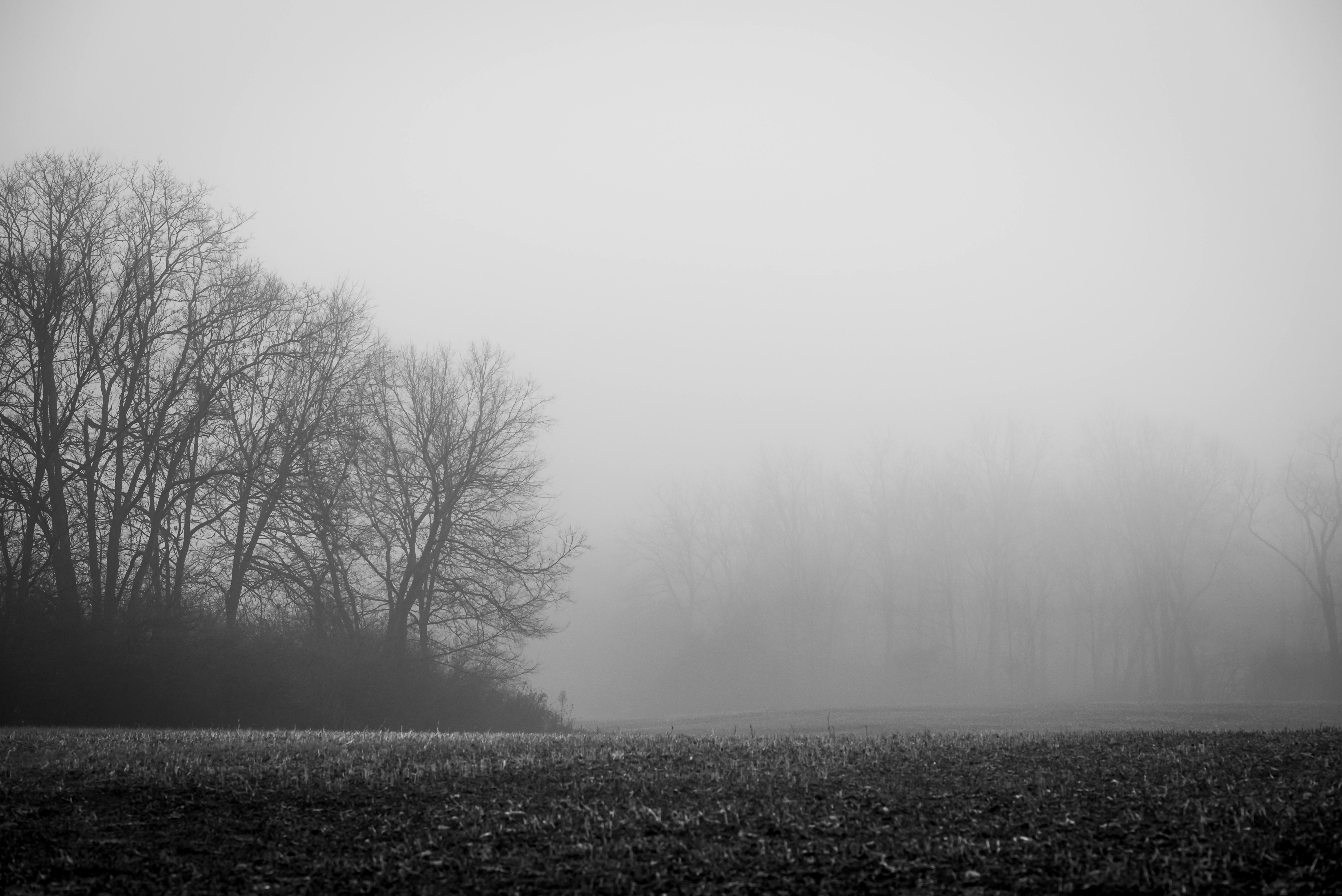 5974x3988 Foggy Autumn Weather · Free