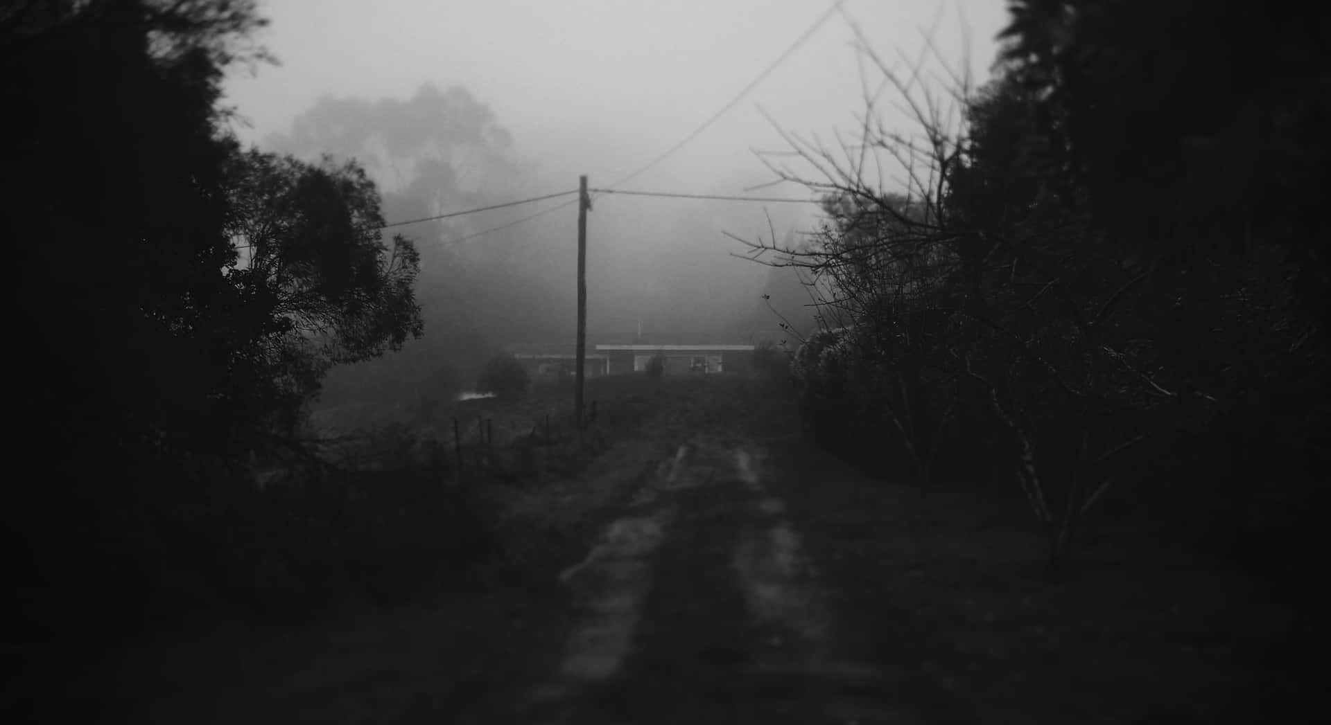1920x1047 Dark Depressing Foggy Weather Wallpaper