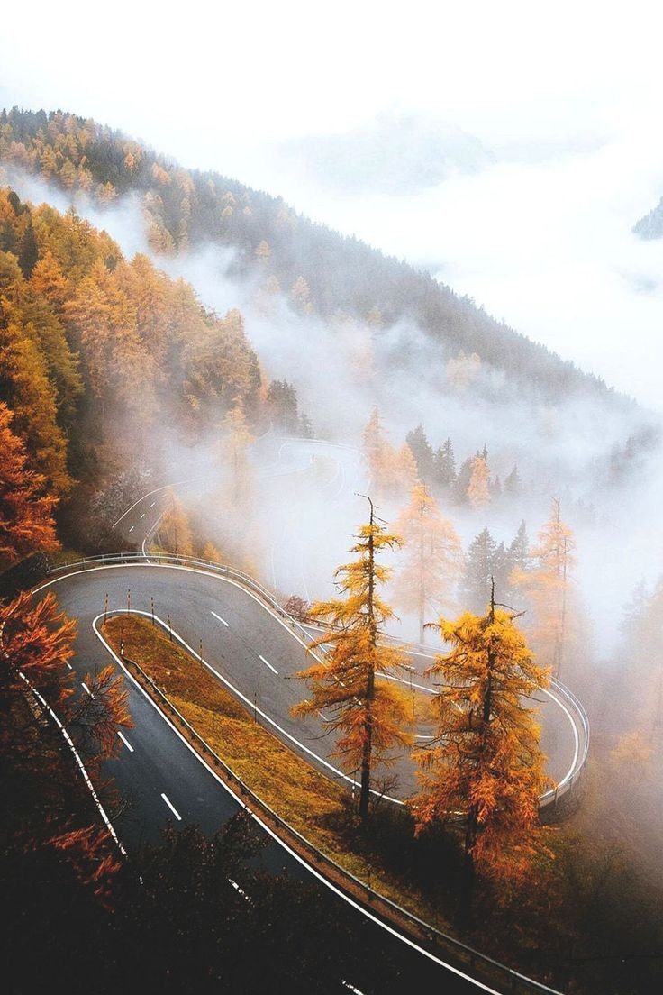 736x1104 Foggy morning