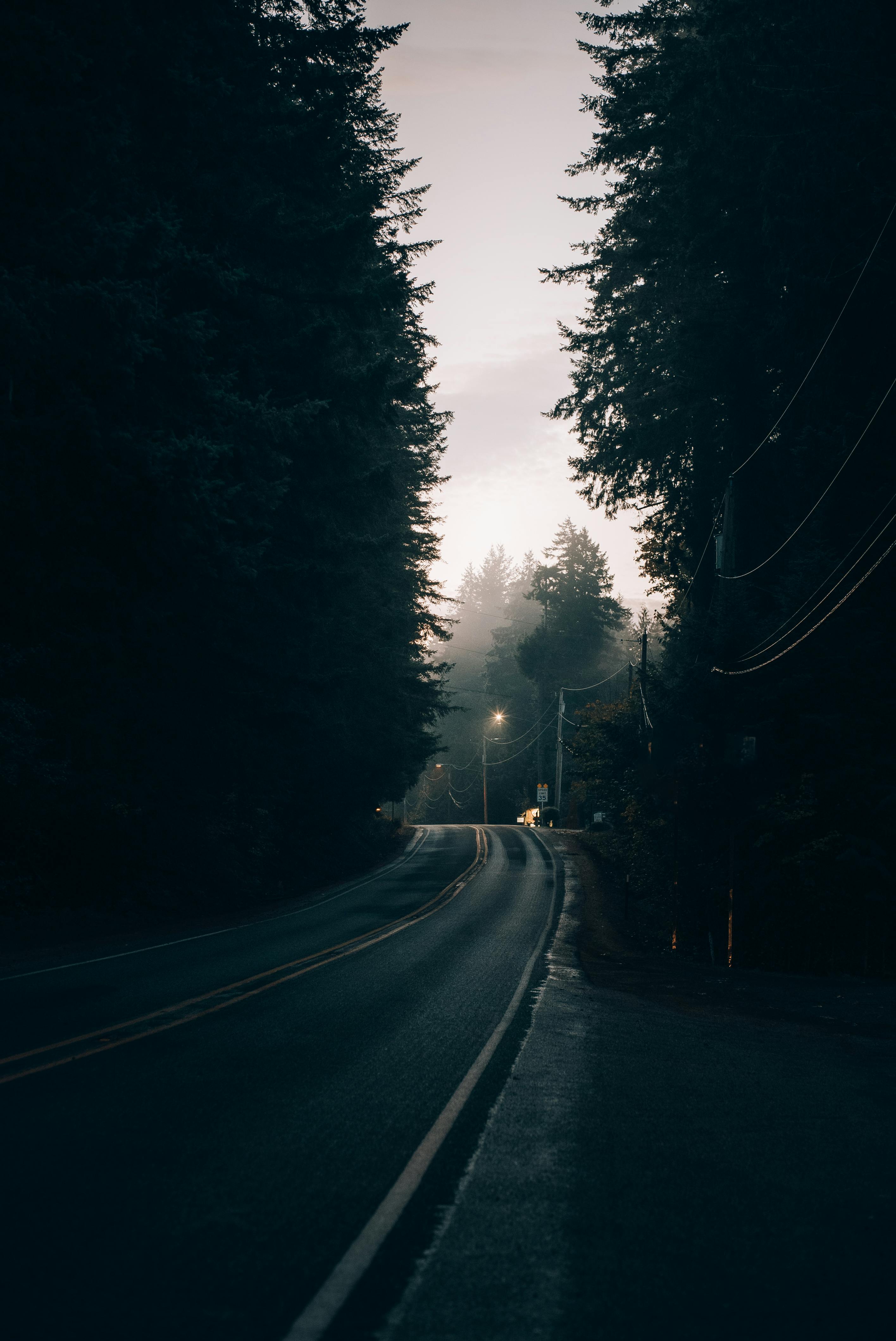 2832x4240 Foggy Weather · Free