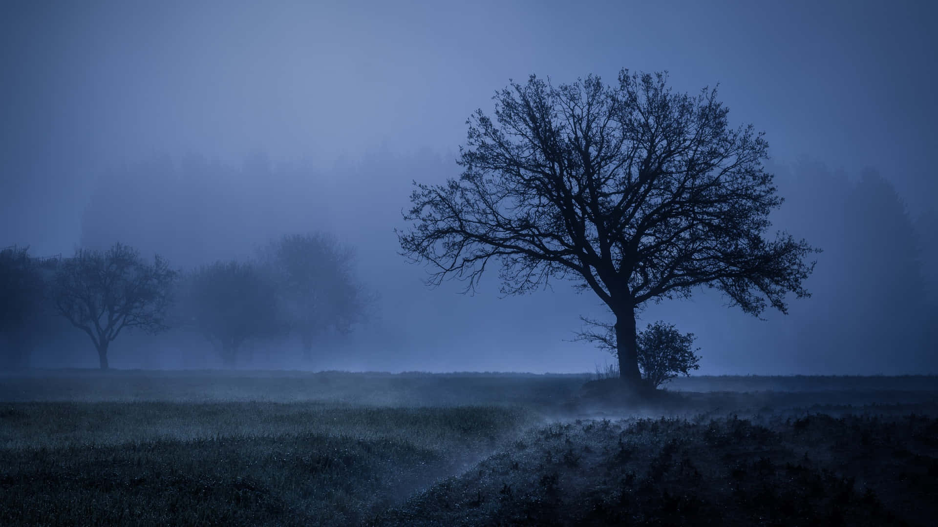 1920x1080 Fog Background