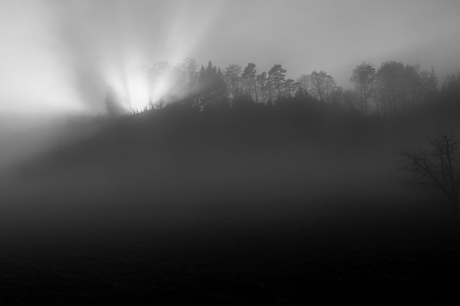1500x1000 Wall Mural Photo Wallpaper Foggy