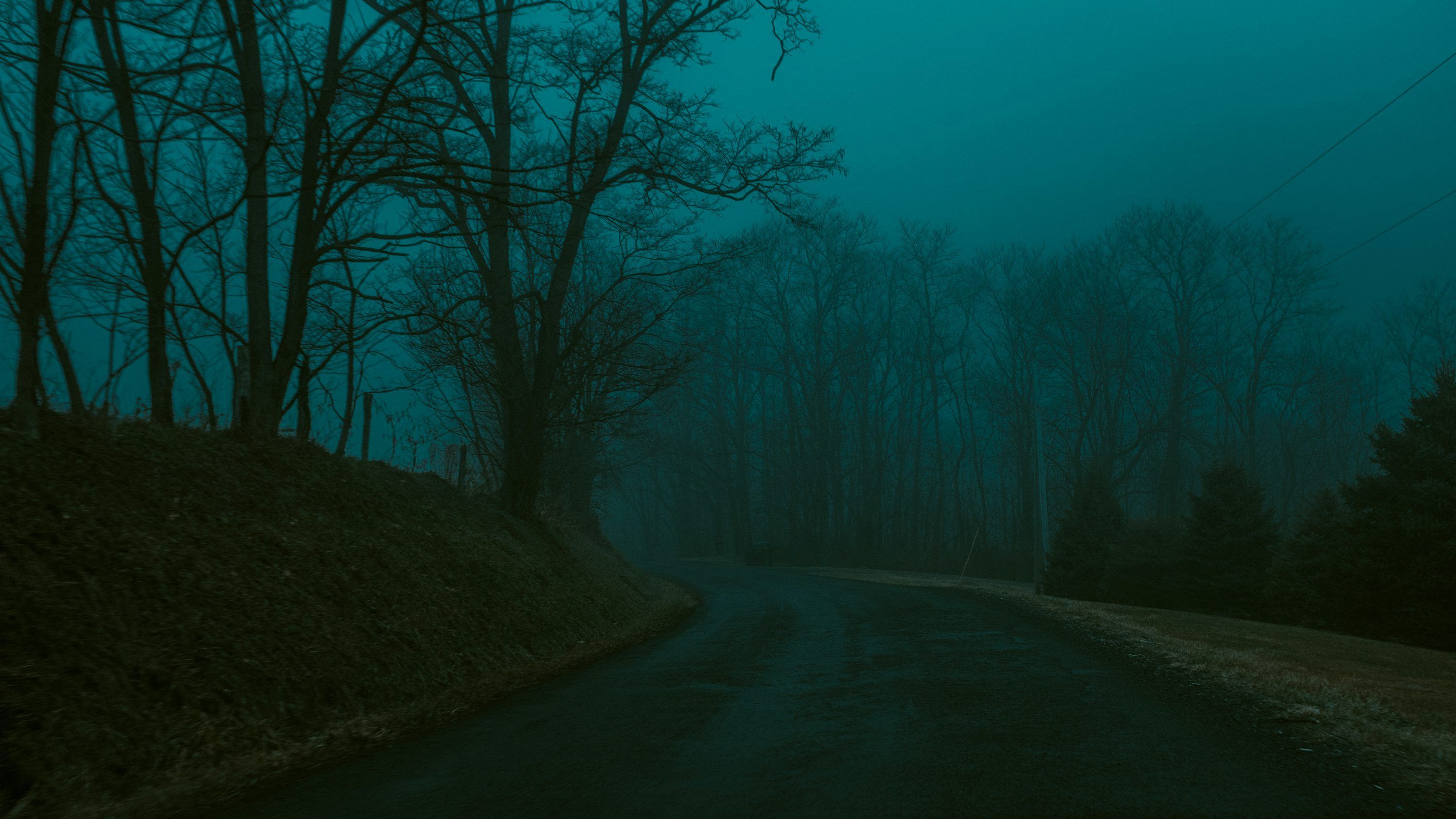 3000x1688 Empty road by leafless during foggy