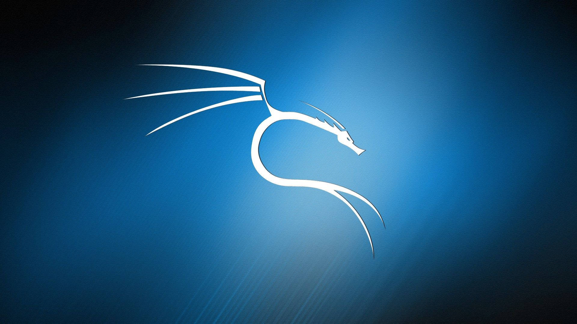 1920x1080 Kali Linux In Gradient Blue Wallpaper