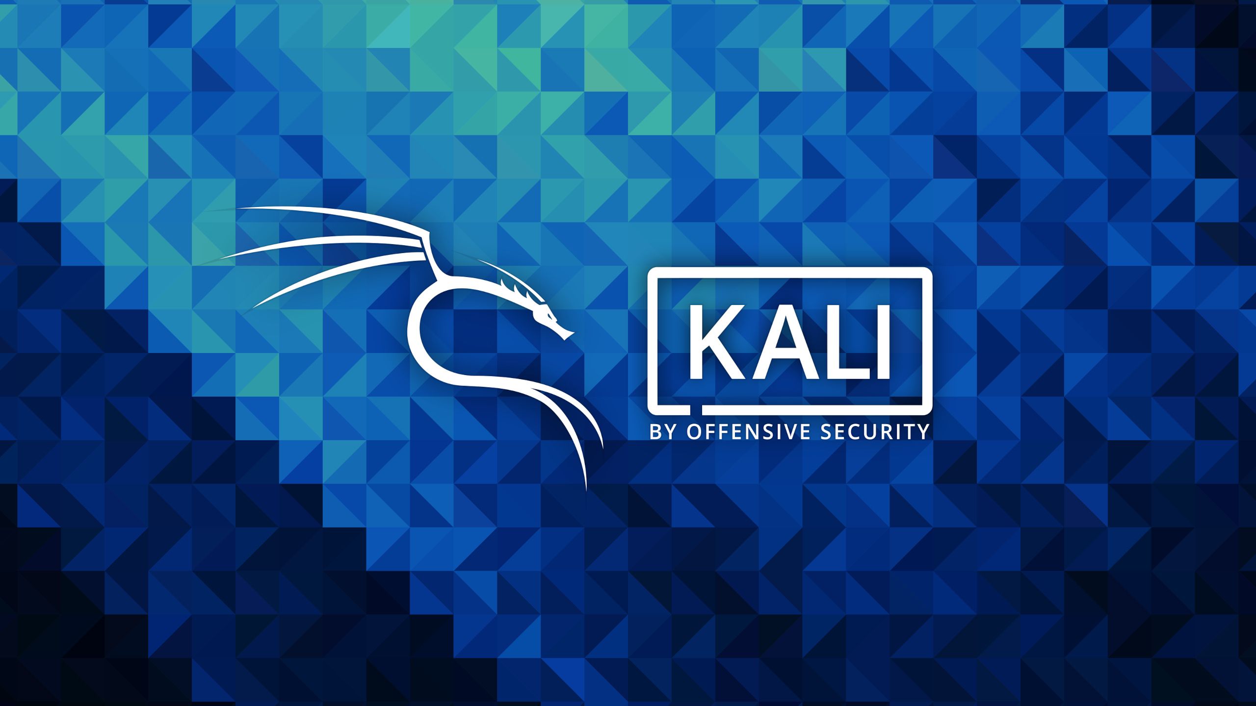 2560x1440 Kali Linux. Desktop wallpaper. 2560x1440