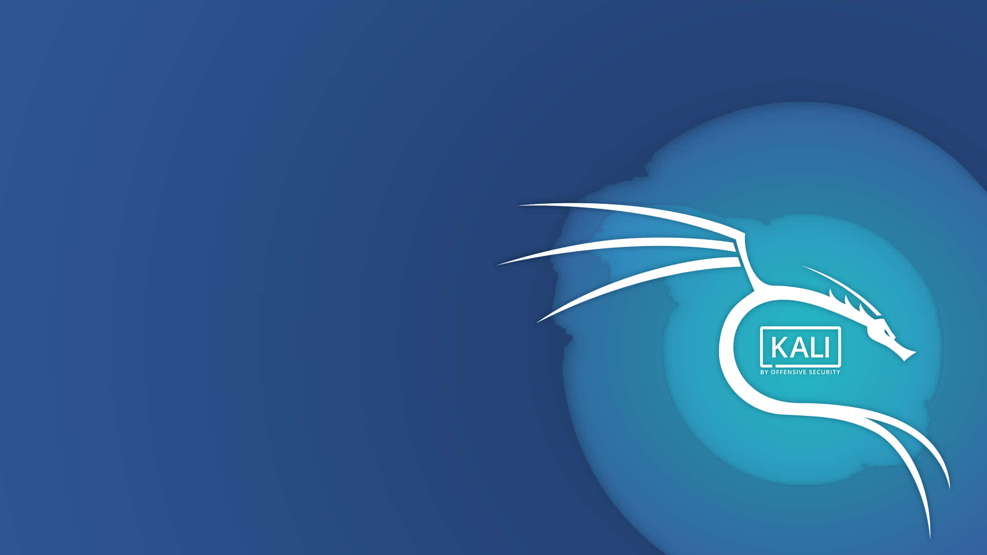 1920x1080 Kali Linux Background
